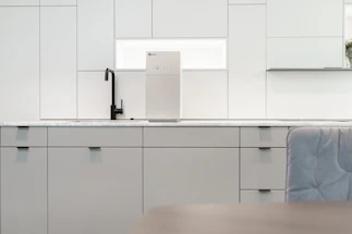 Modern kitchen with LG Optima water purifier next to a bright window.