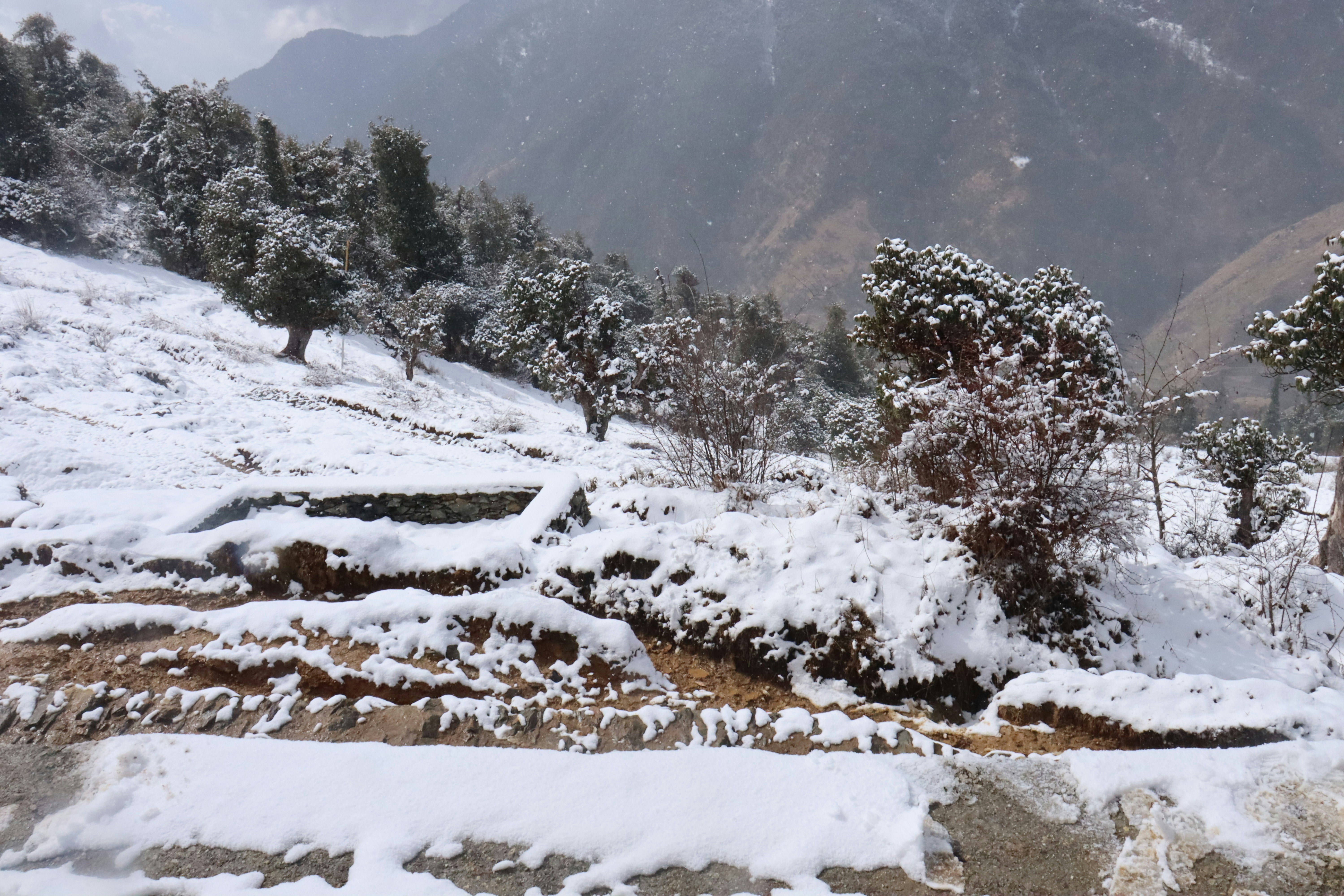 Photo by radhika_2022