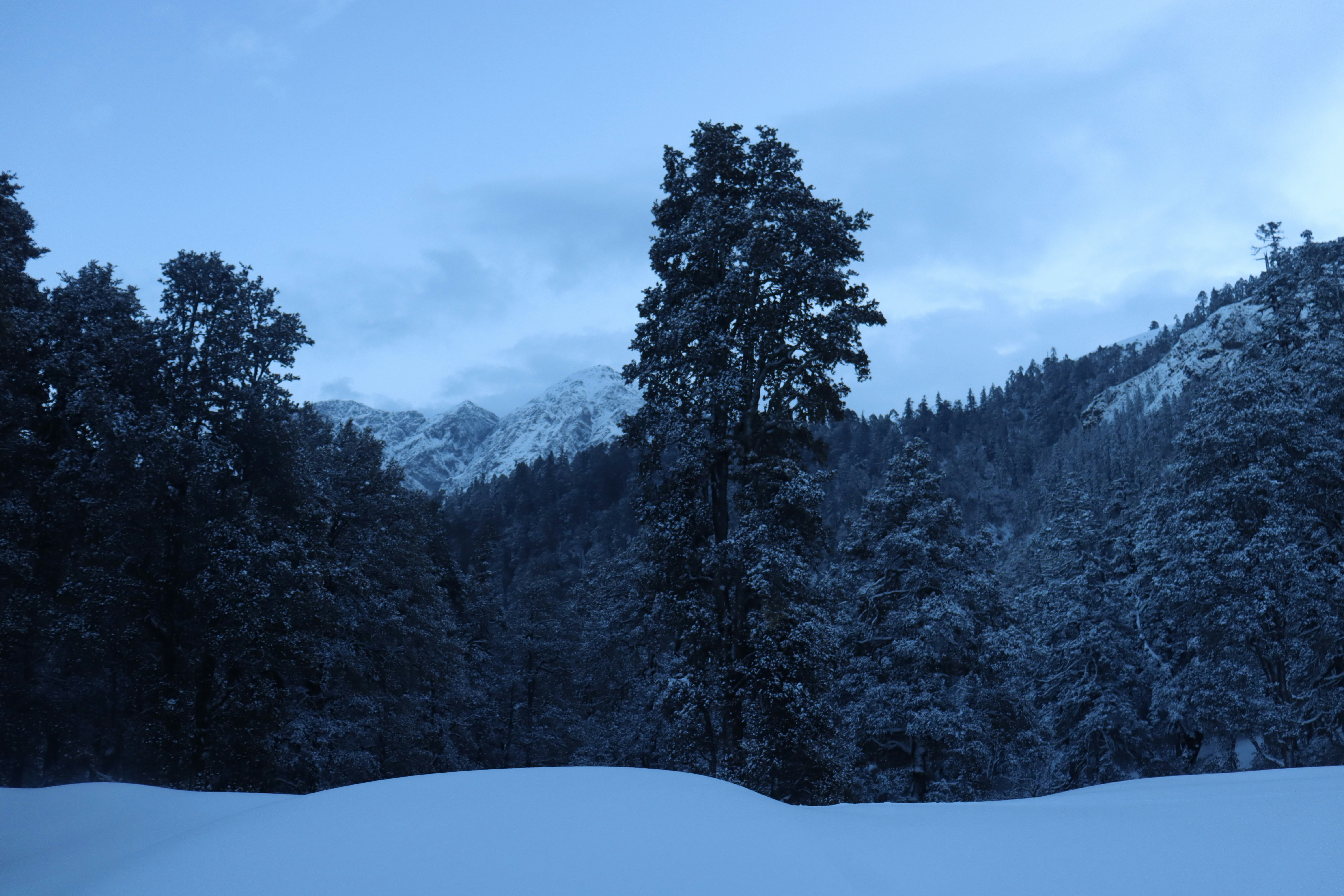 Photo by radhika_2022