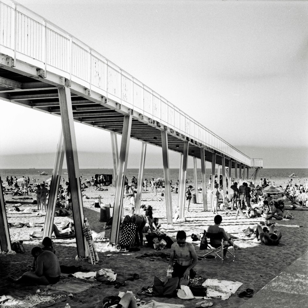 people sitting on the beach