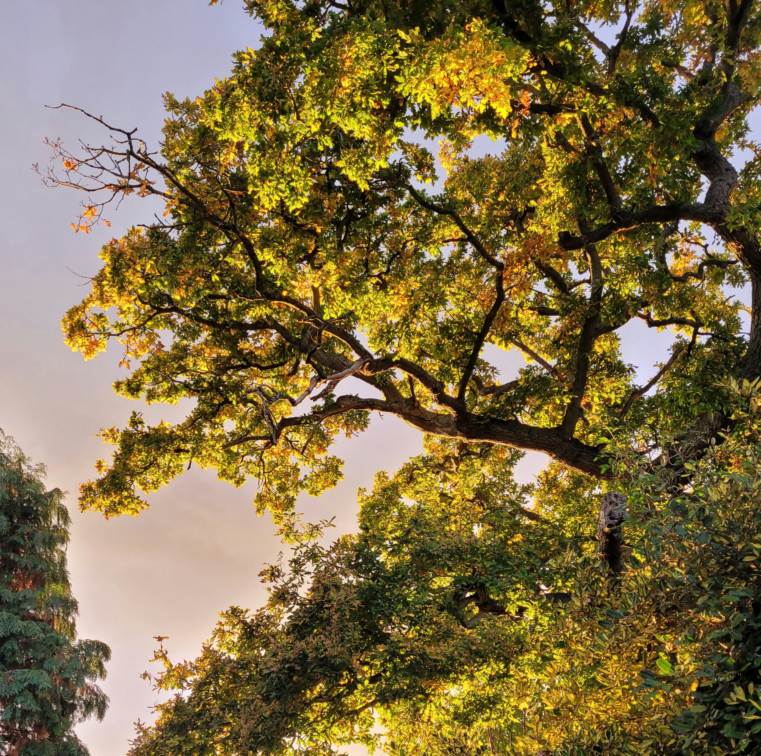 Photo by christinaboon