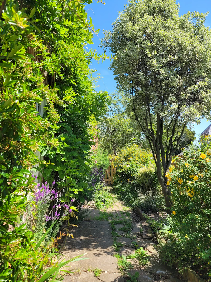 Communal garden