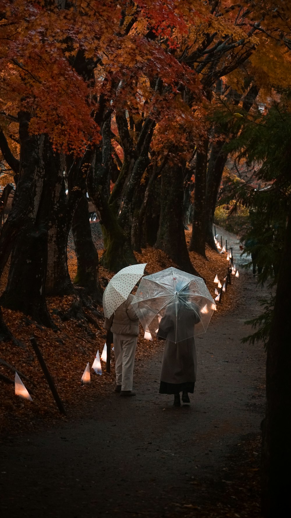 a couple walking under an umbrella