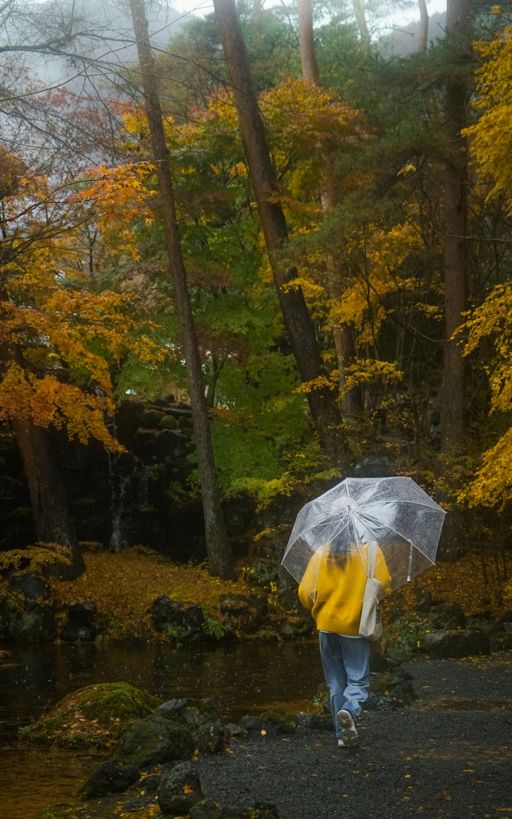 a person walking with an umbrella