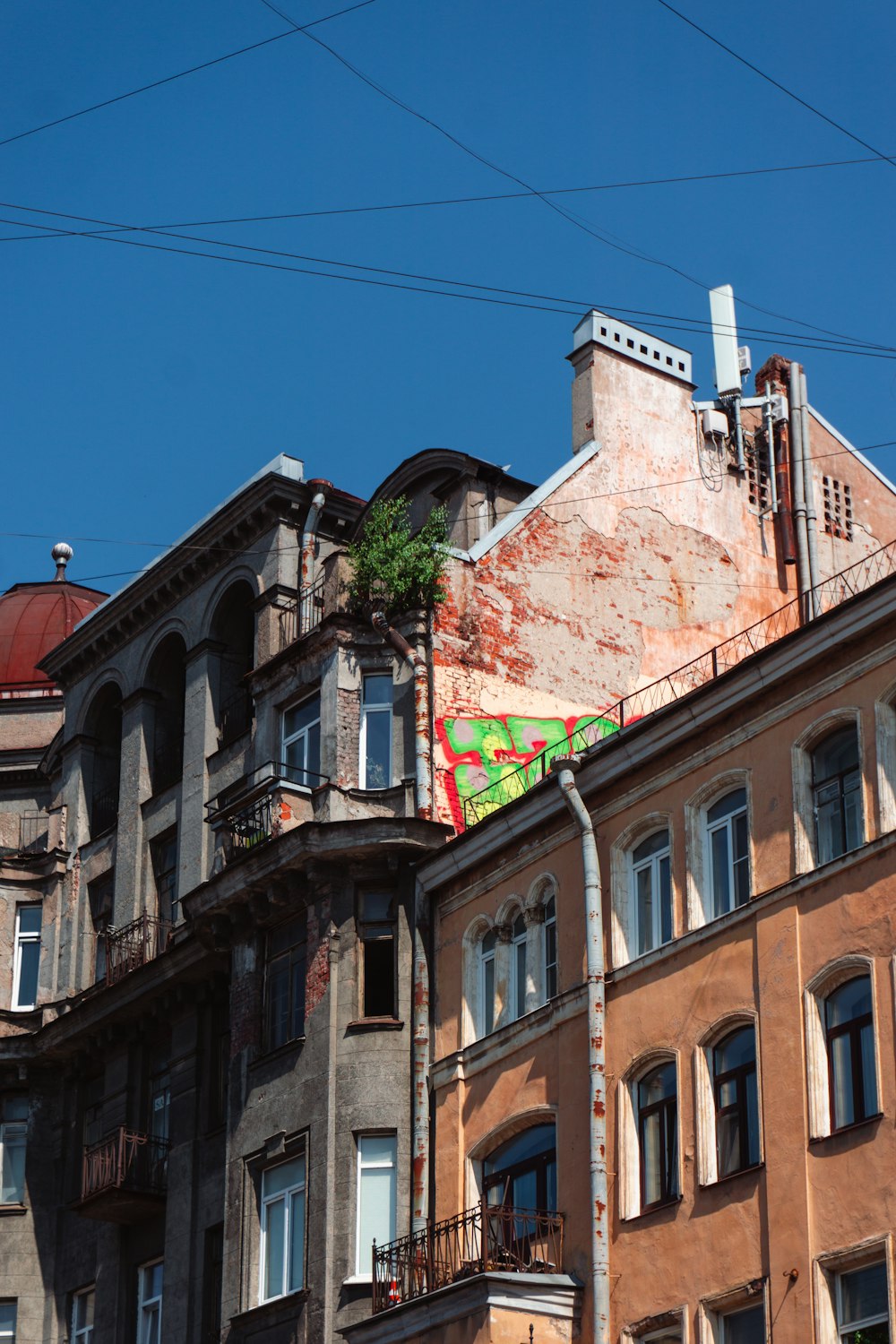 a building with a tree growing on it