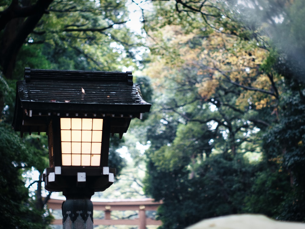 a couple of lanterns on a tree