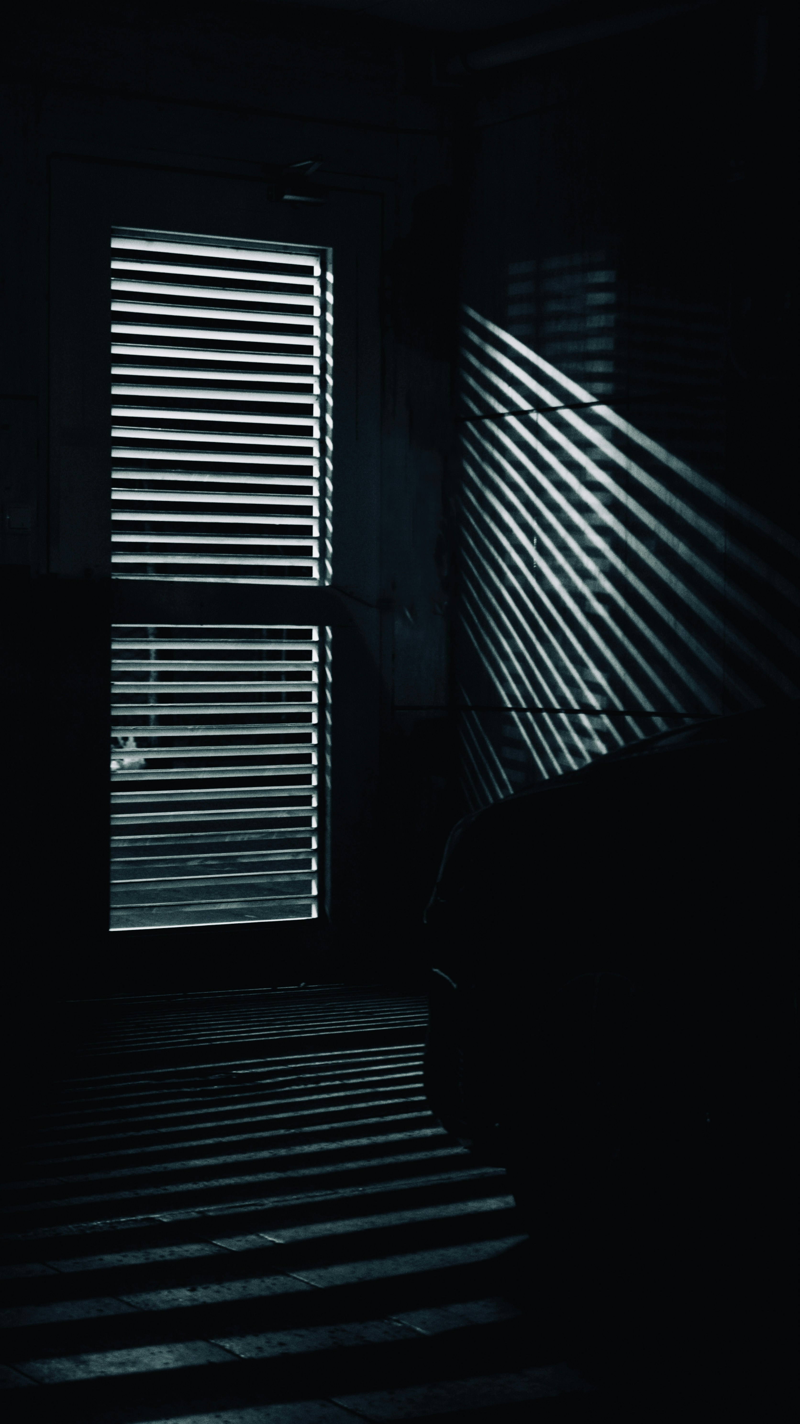 Photo by ilostmyselfout