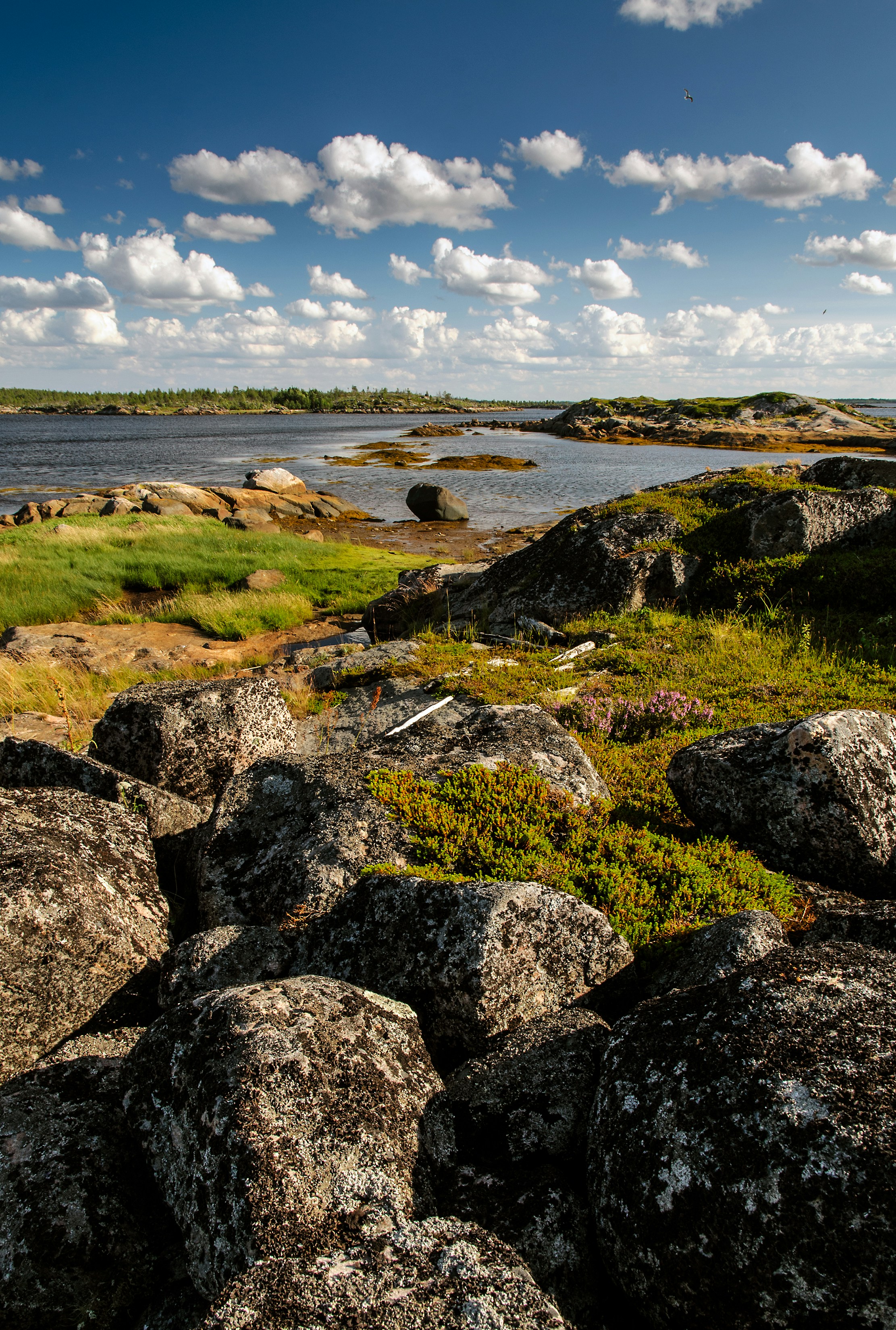 eine felsige Küste mit einem Gewässer im Hintergrund