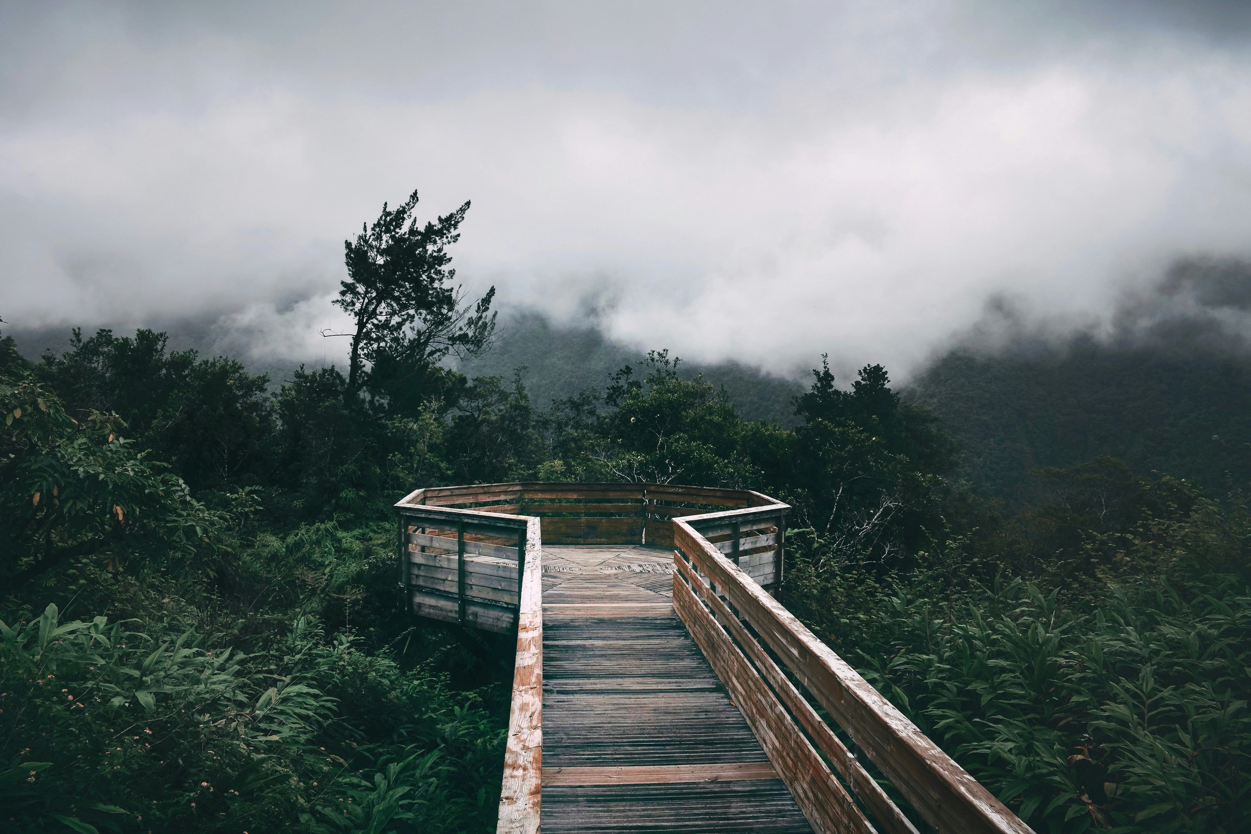 Photo by mathilde91700