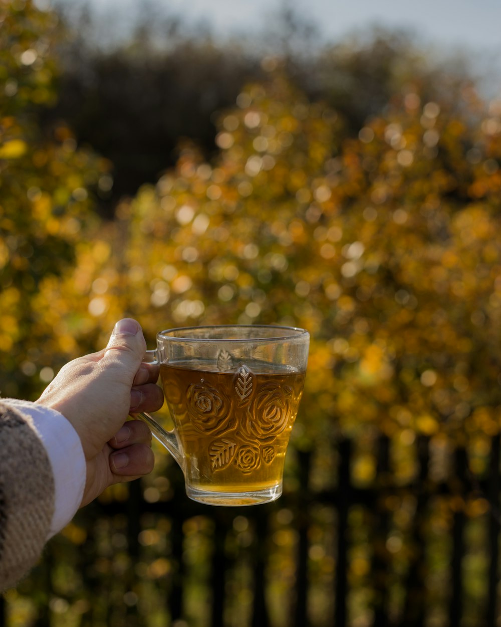 a hand holding a glass of beer