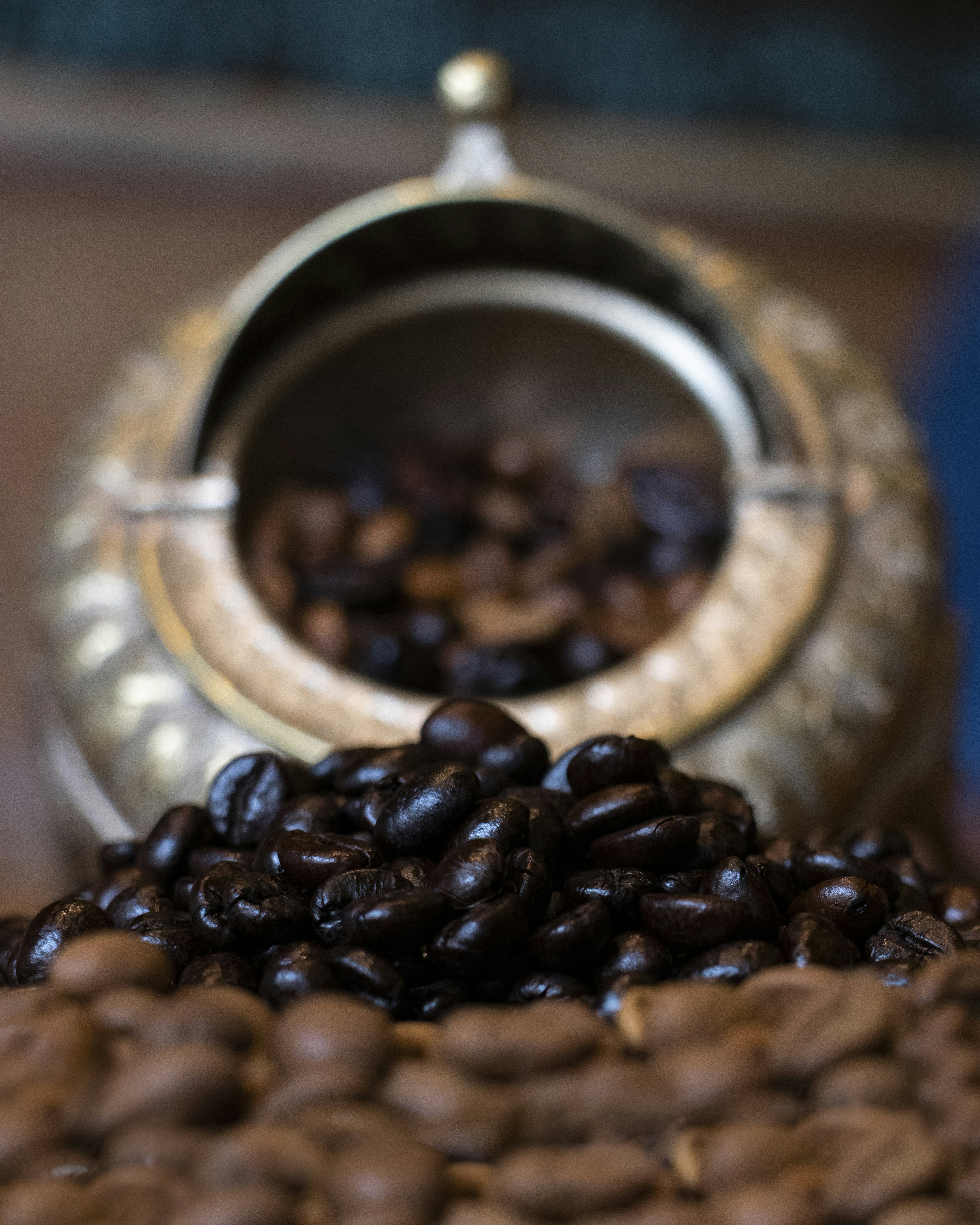 Photo by sedcreatives