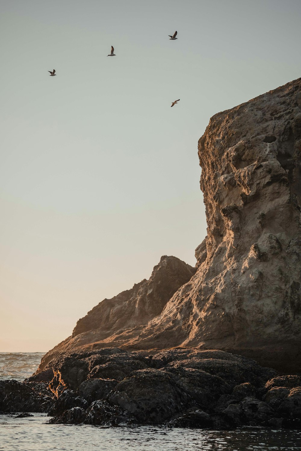 birds flying over a rocky cliff