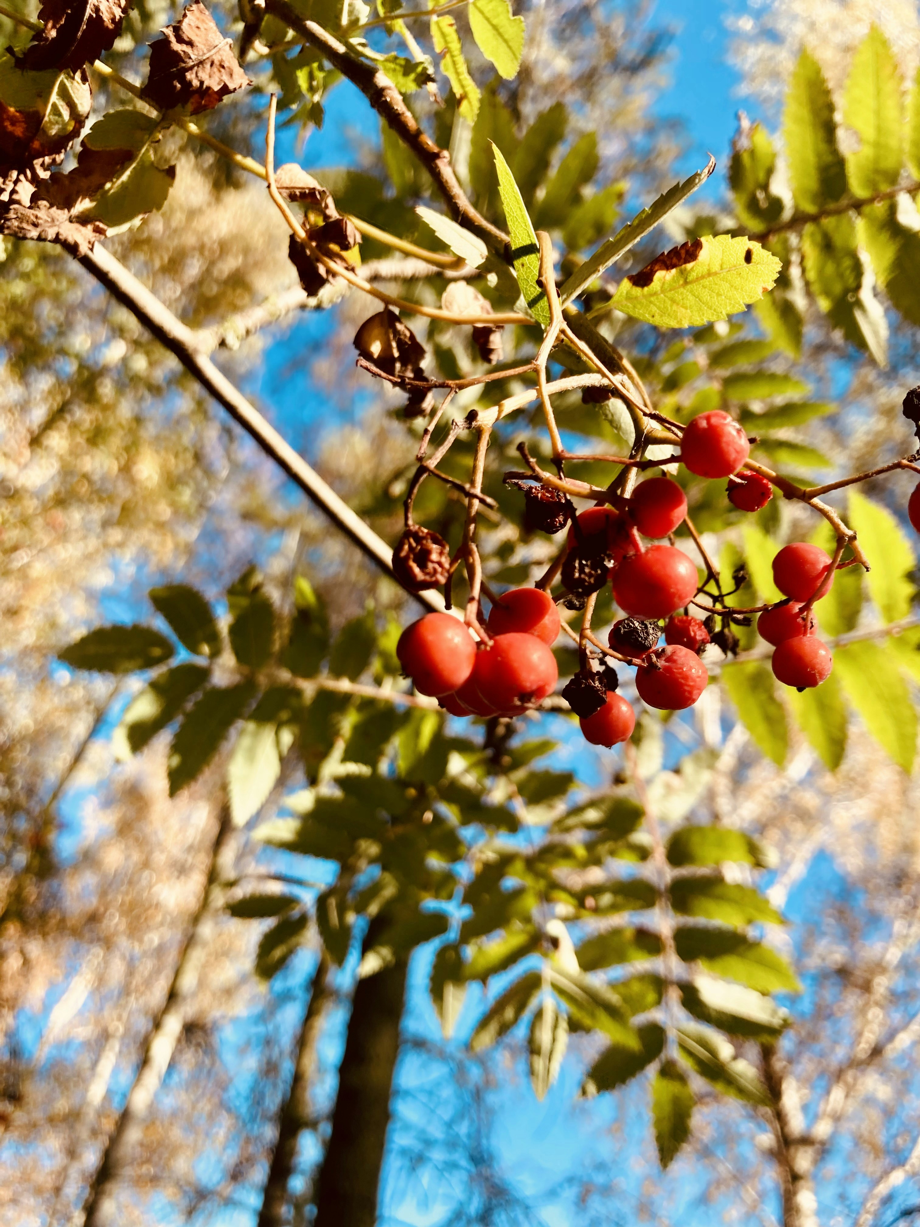 Photo by schwifty1976