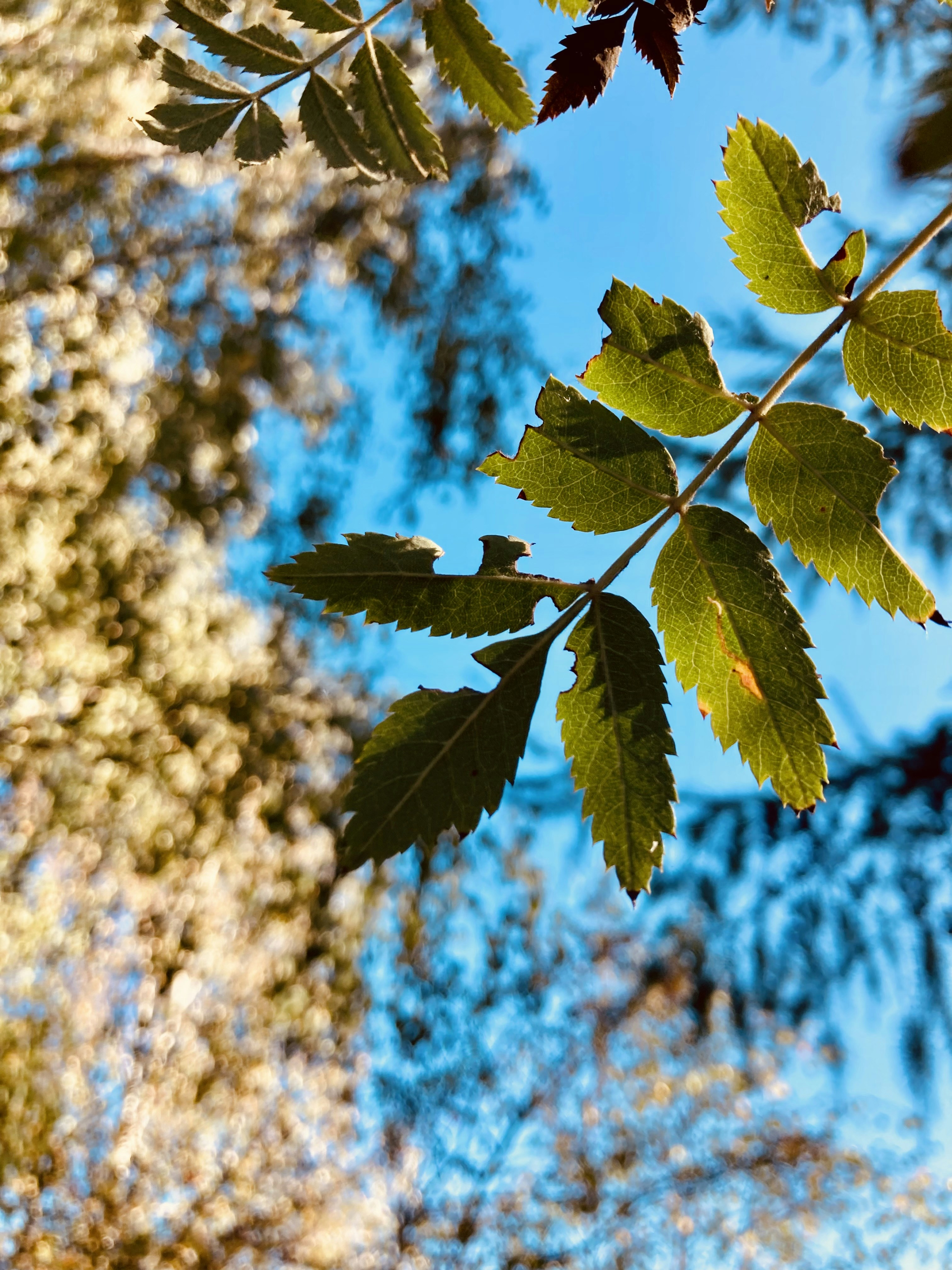 Photo by schwifty1976