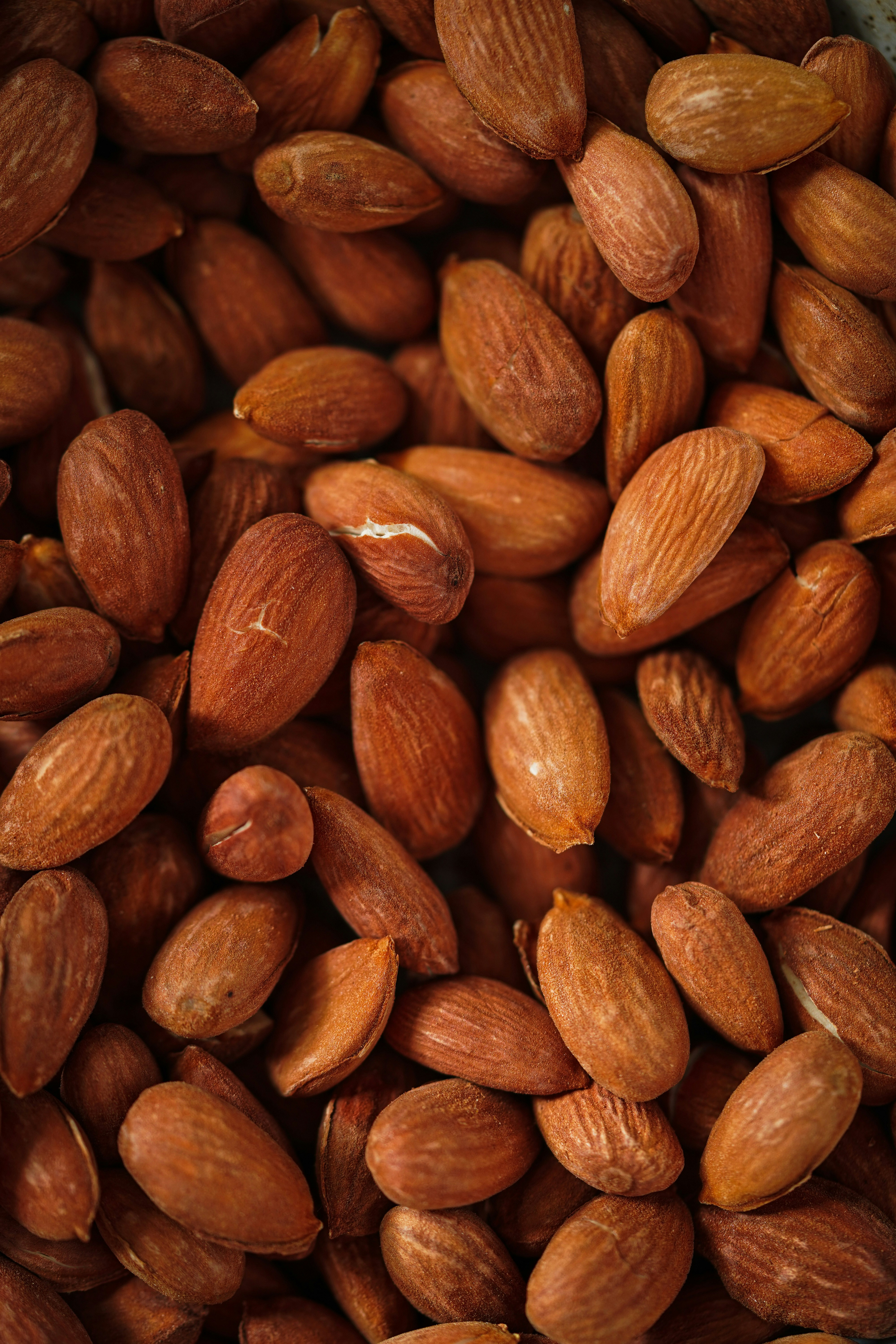 Photo by iampurvishah