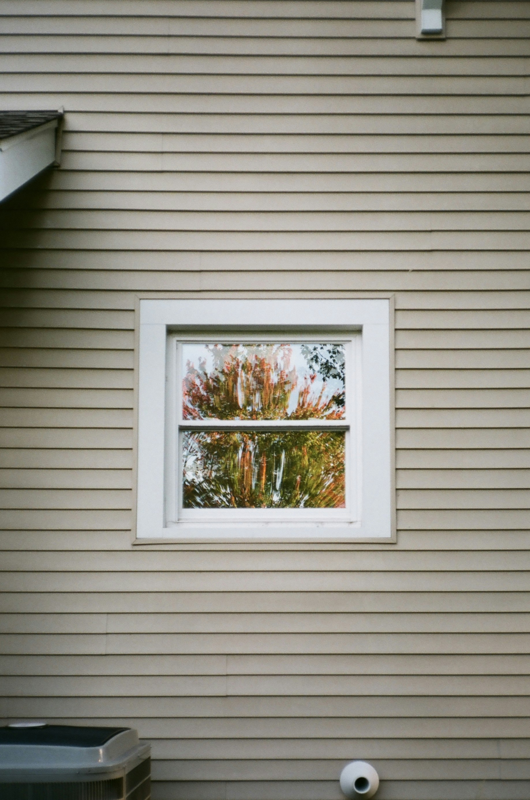 Photo by sydmoore6
