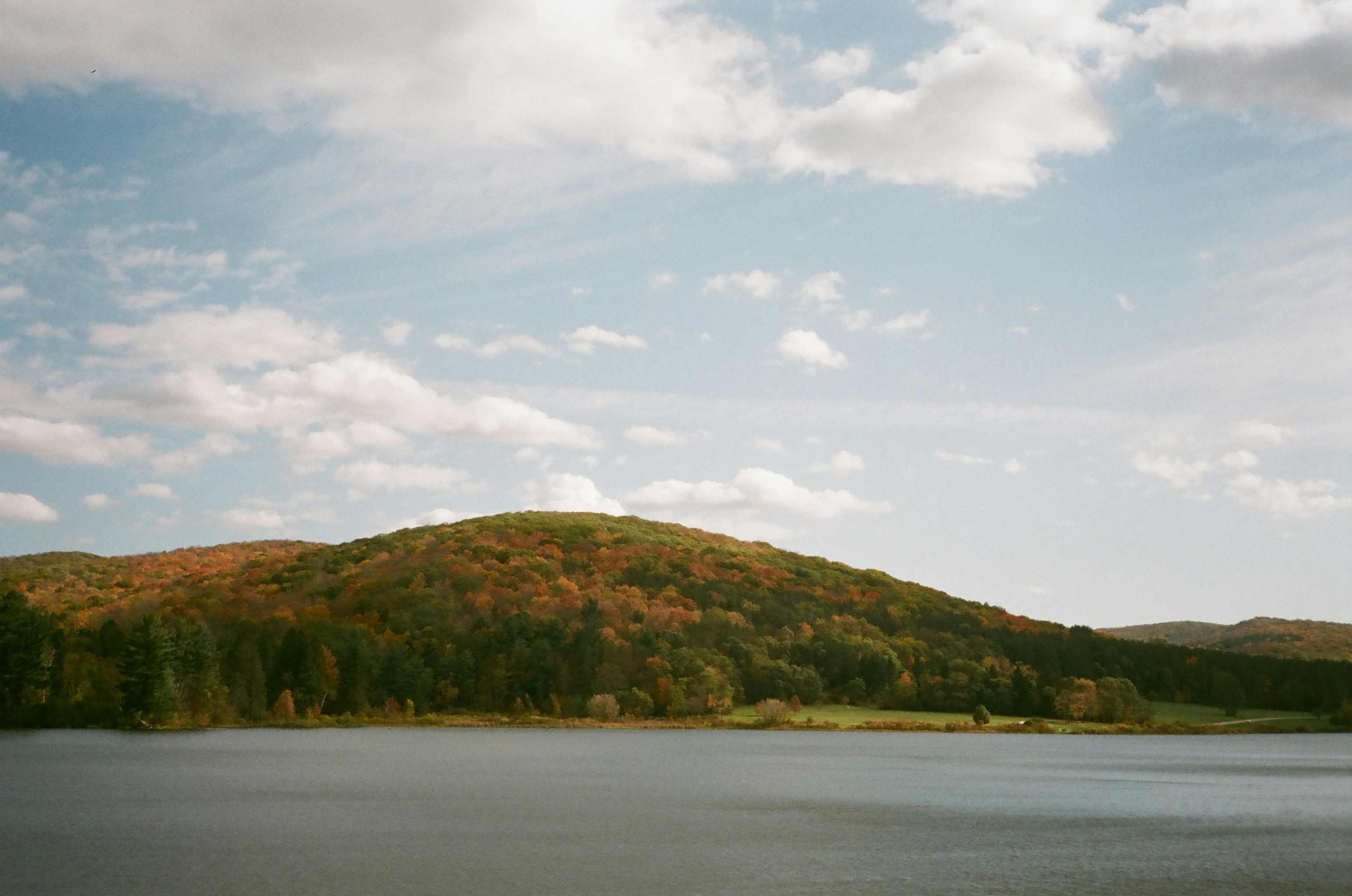 Photo by sydmoore6