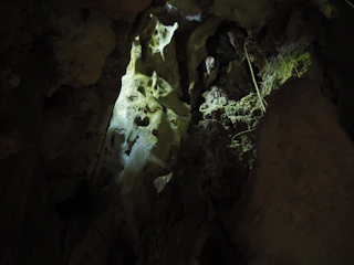 An ancient cave wall with shifting shadows that tell a story.