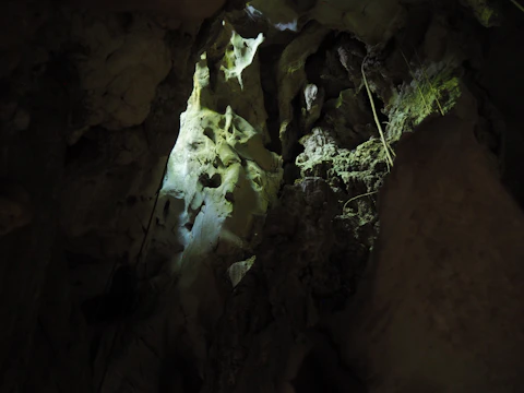 An ancient cave wall with shifting shadows that tell a story.
