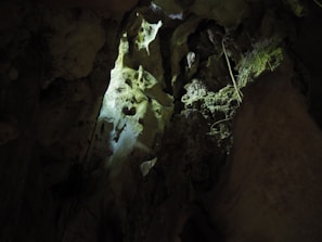 A dimly lit cave interior with rocky walls and jagged formations. A beam of light highlights parts of the rough, textured surfaces, revealing subtle shades of green and brown. The atmosphere is mysterious and almost ancient, with shadows filling the deeper recesses.
