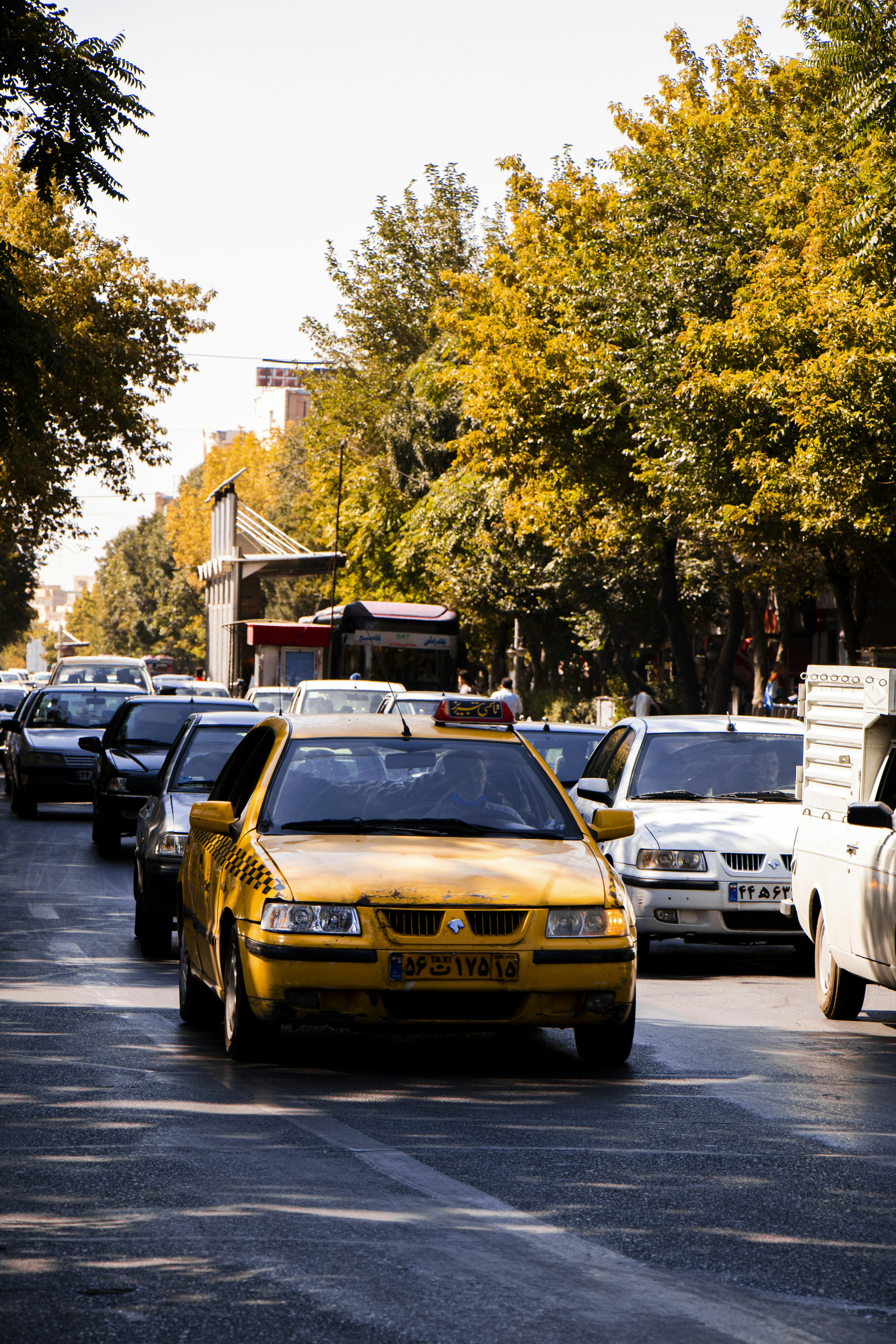 Photo by sedcreatives