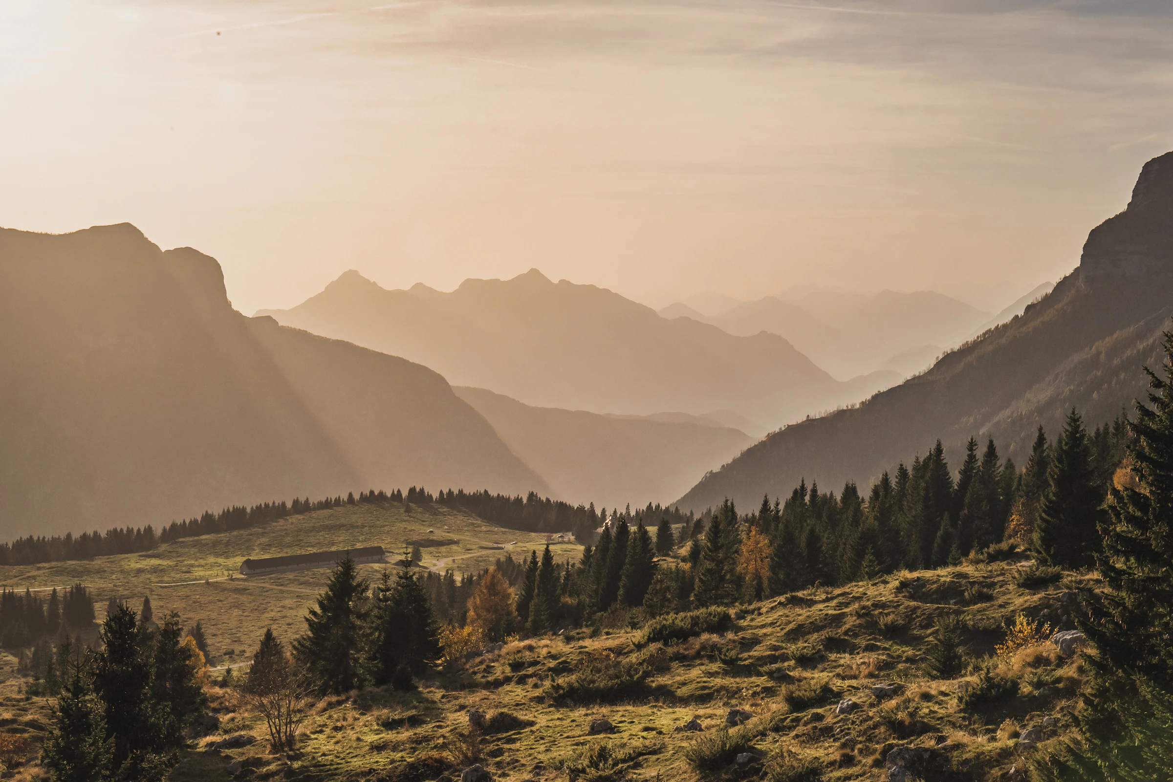 Green Altyn-Arashan valley and forested mountain slopes in the morning light