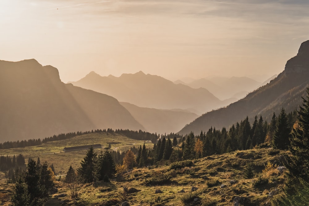 a valley with trees and mountains in the background