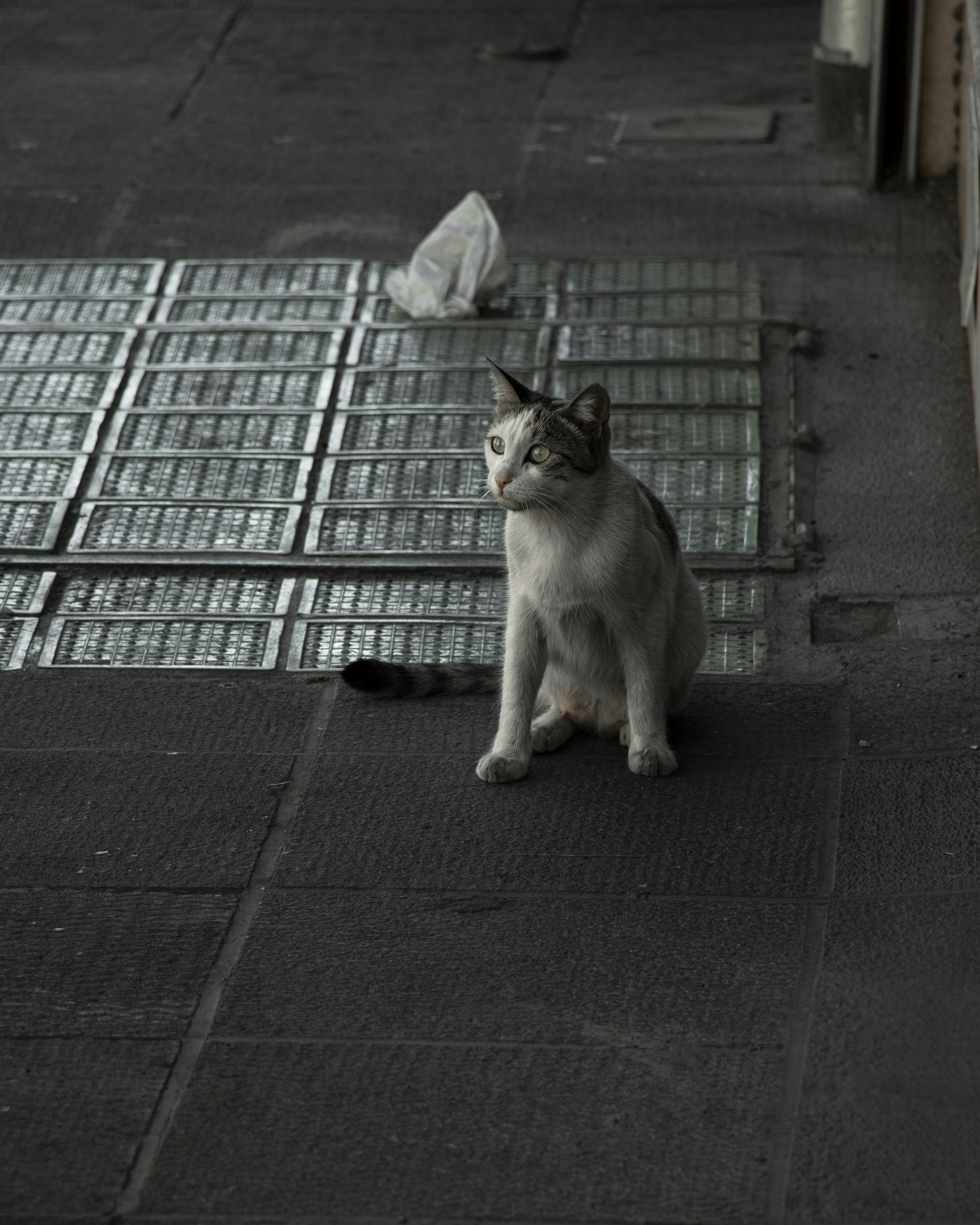 Photo by sedcreatives