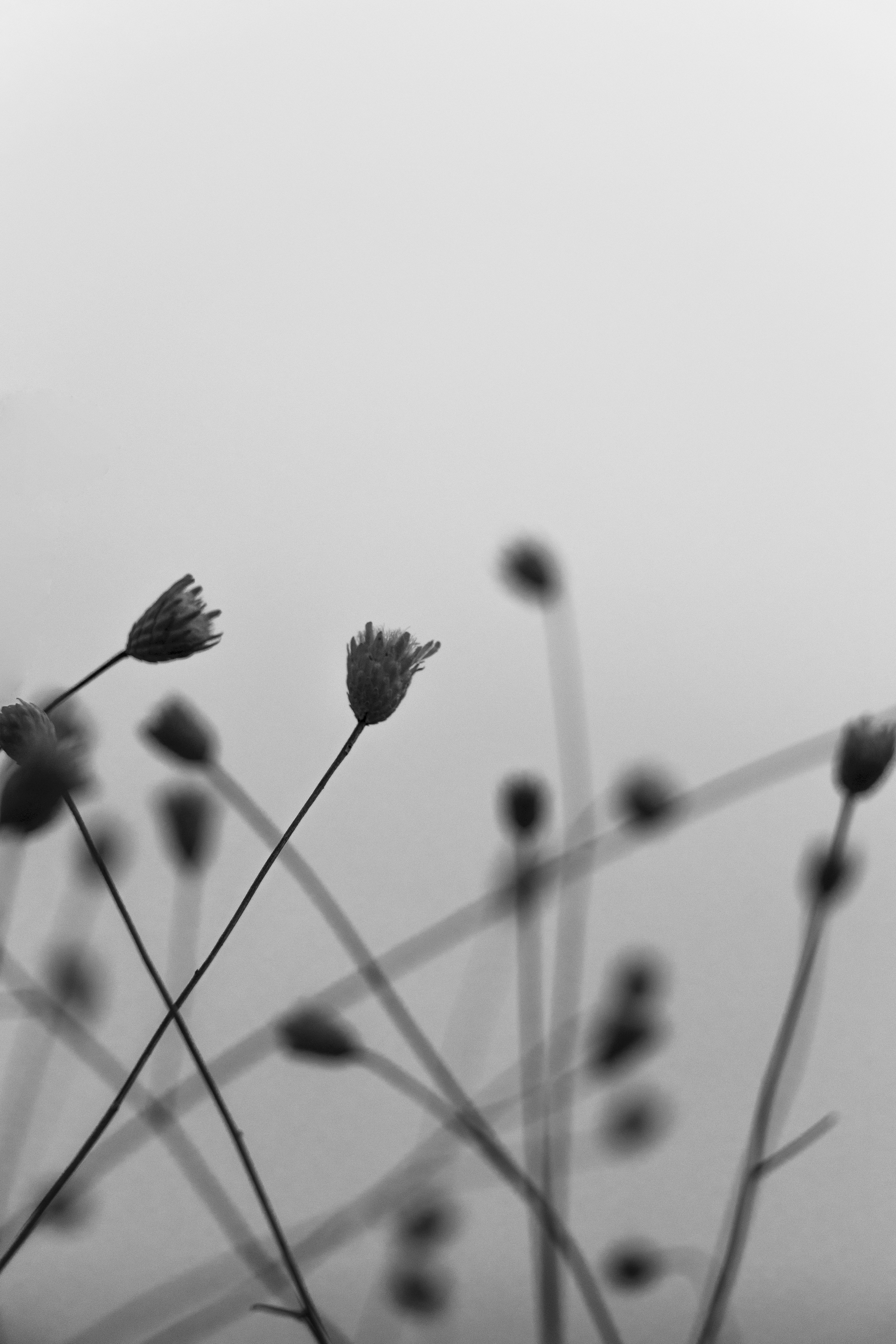 Photo by sedcreatives