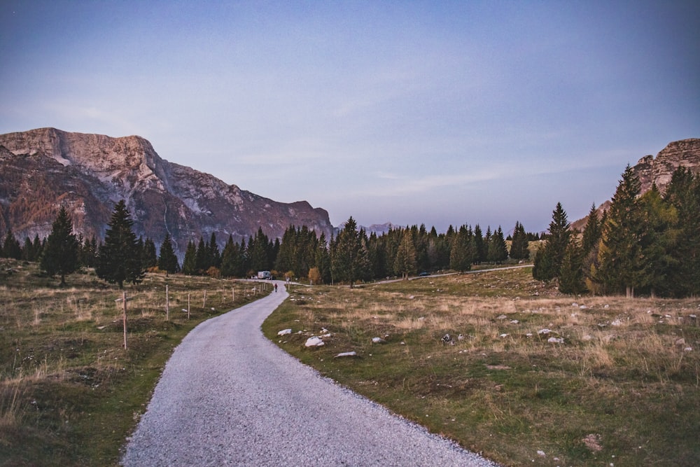 a dirt road with trees and mountains in the background