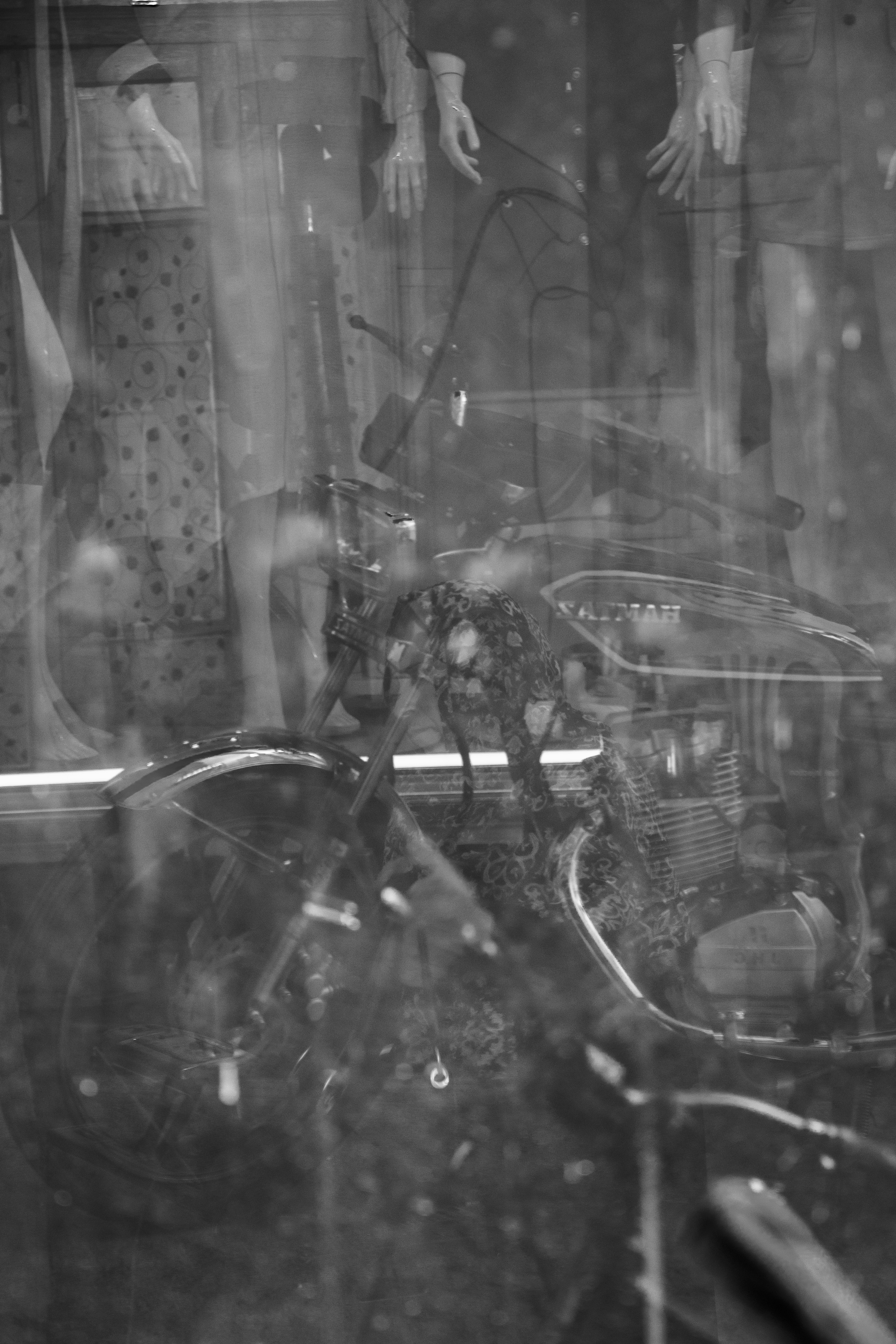 Photo by sedcreatives