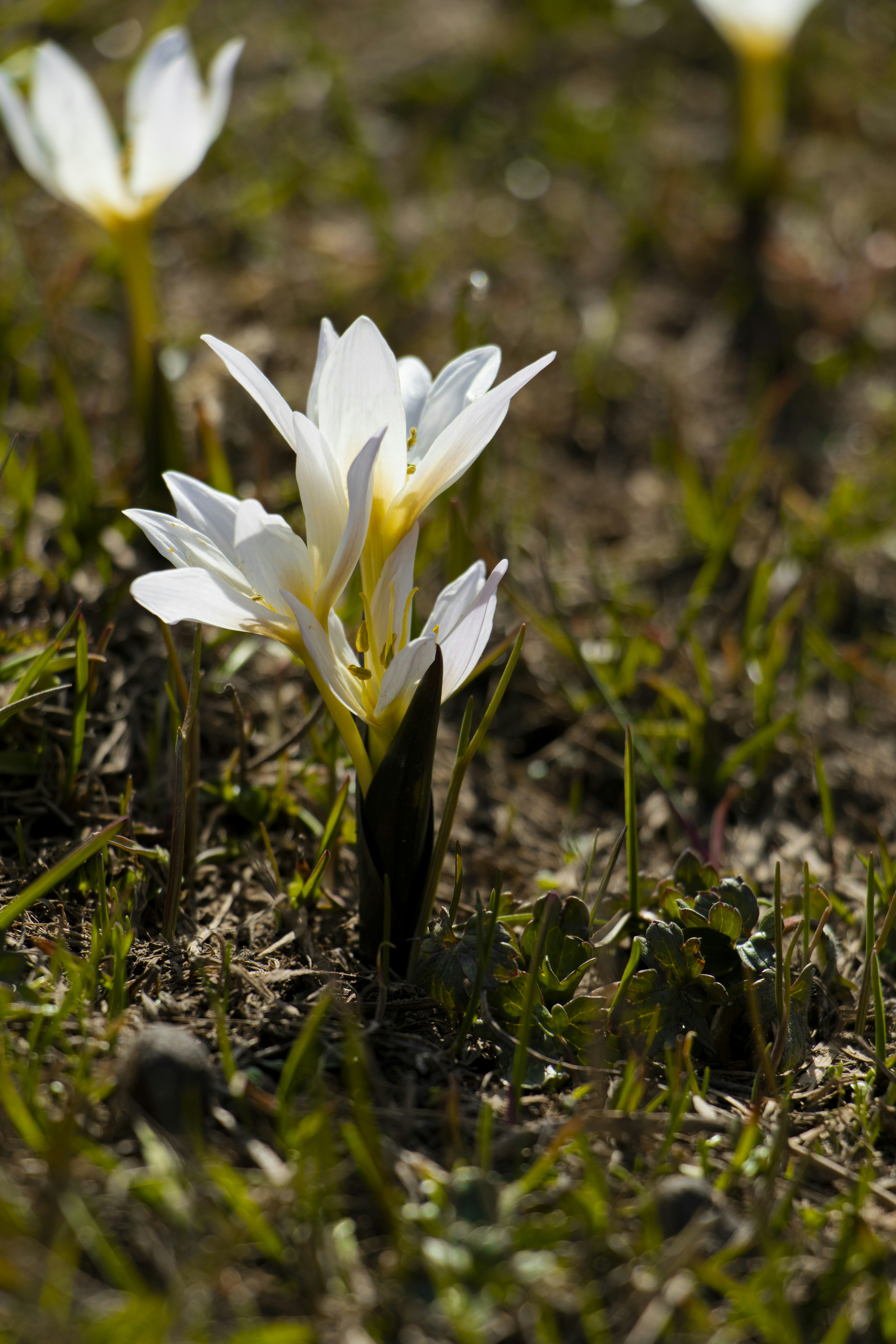 Photo by sedcreatives