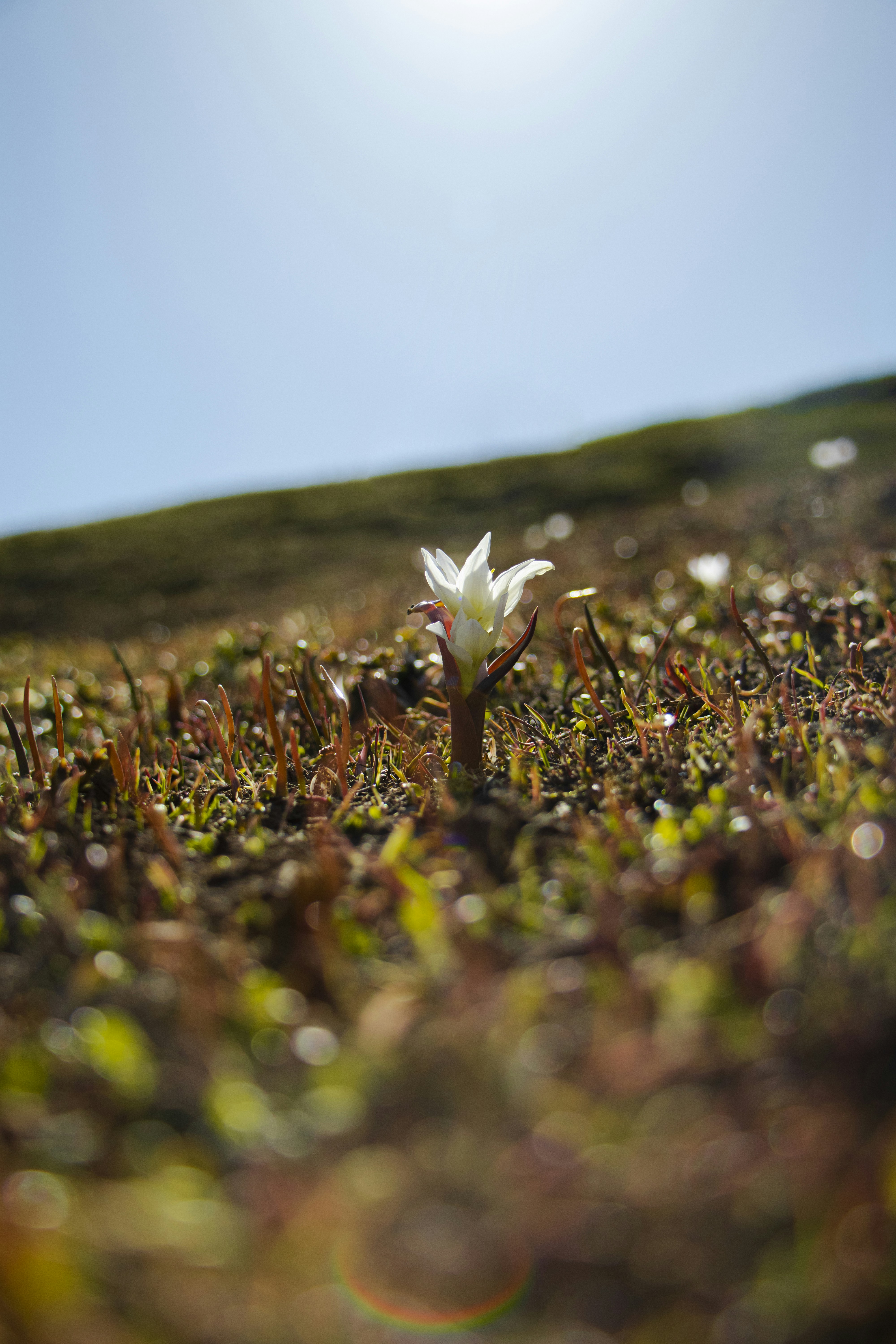 Photo by sedcreatives