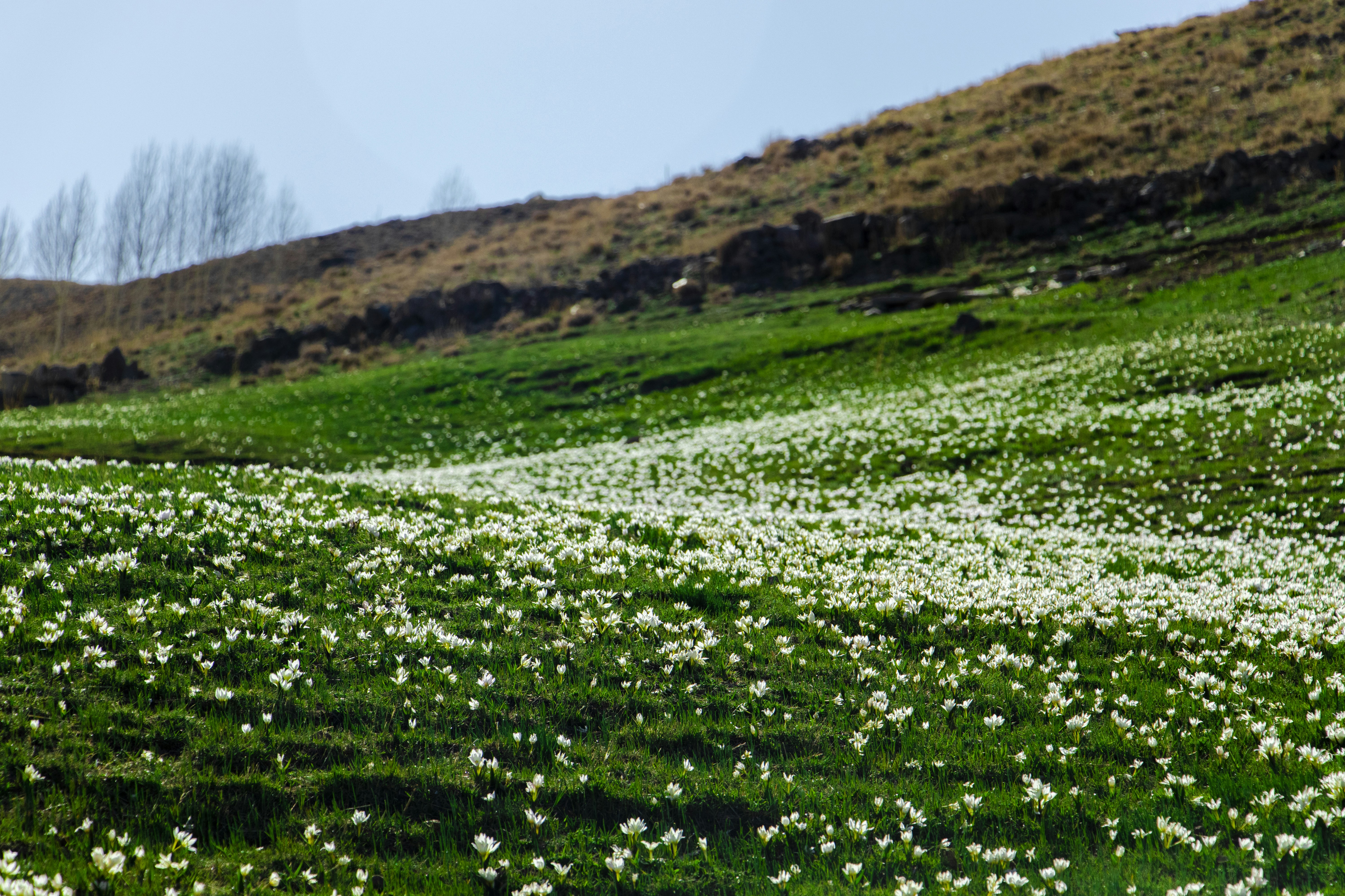 Photo by sedcreatives