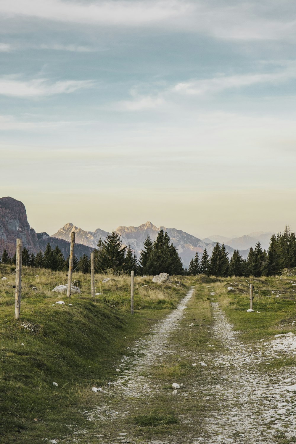 a dirt road with trees and mountains in the background