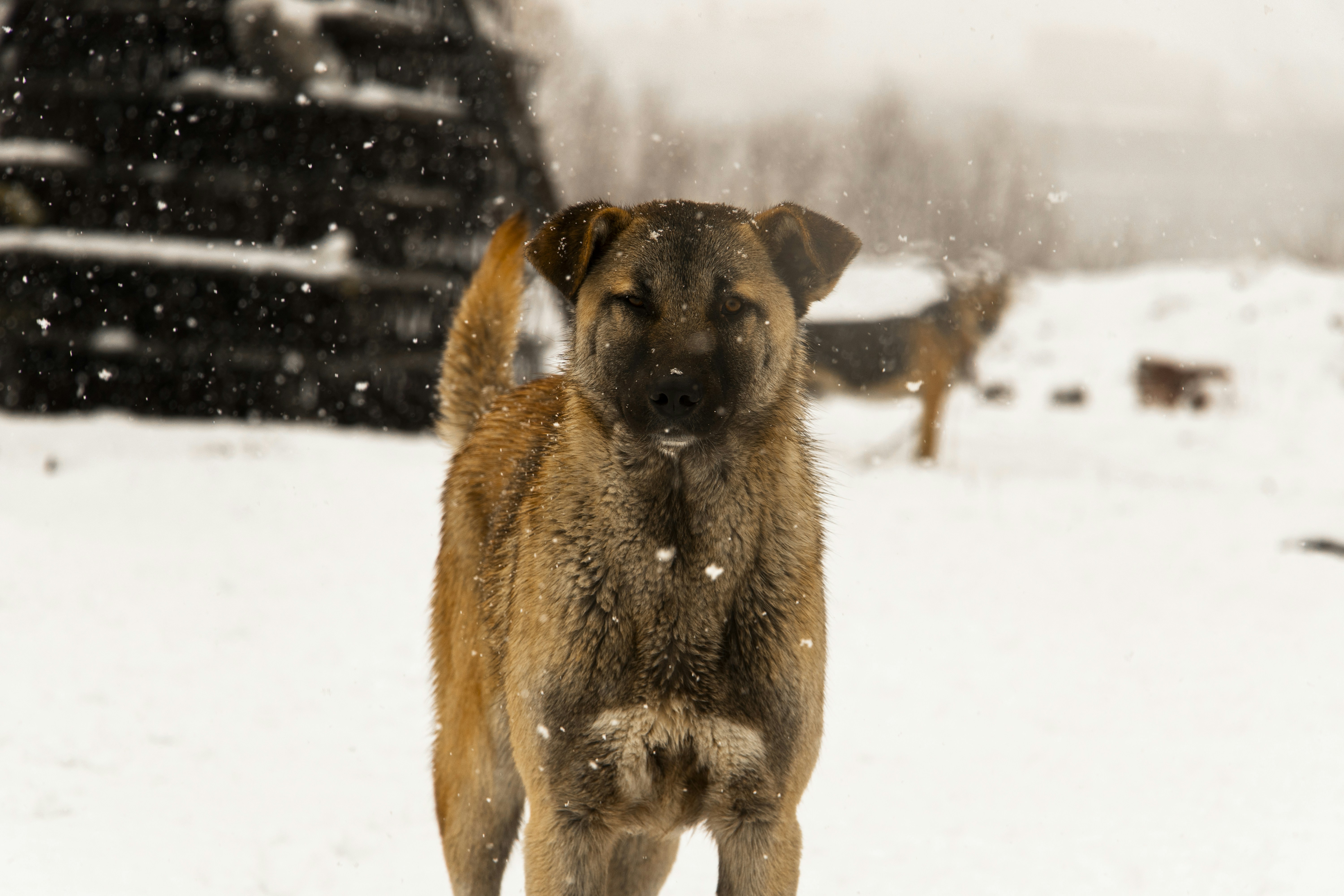 Photo by sedcreatives