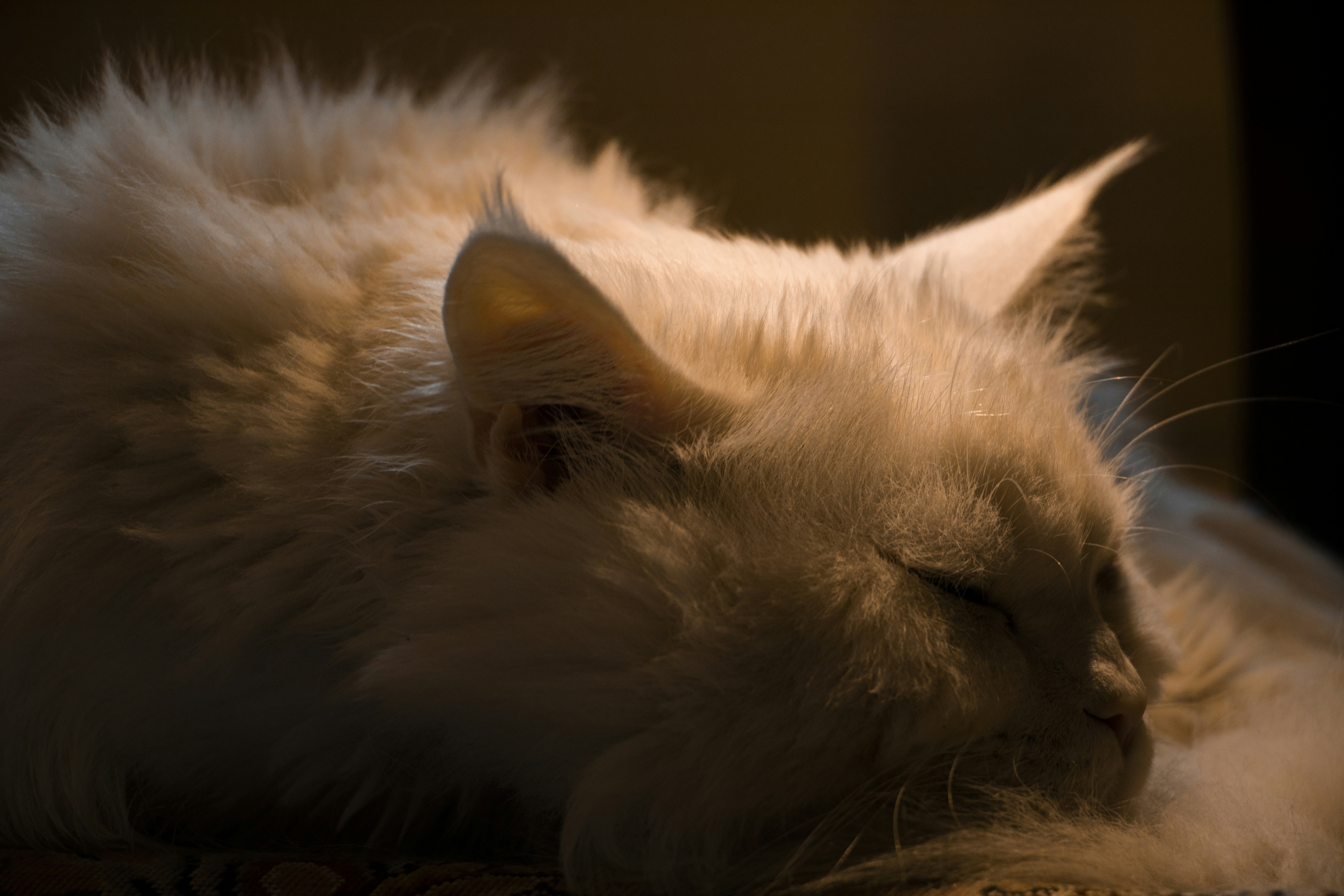 Photo by sedcreatives