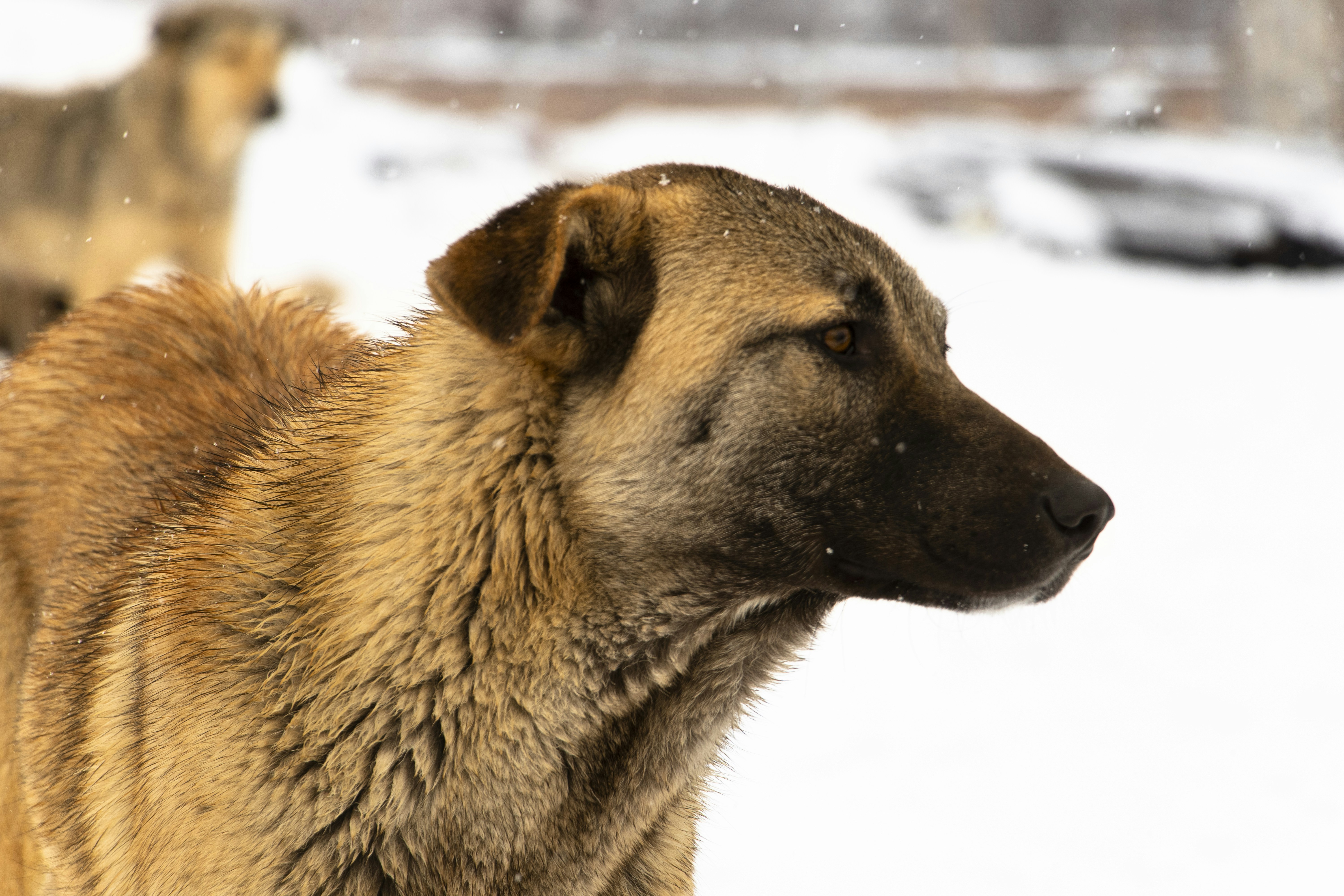 Photo by sedcreatives