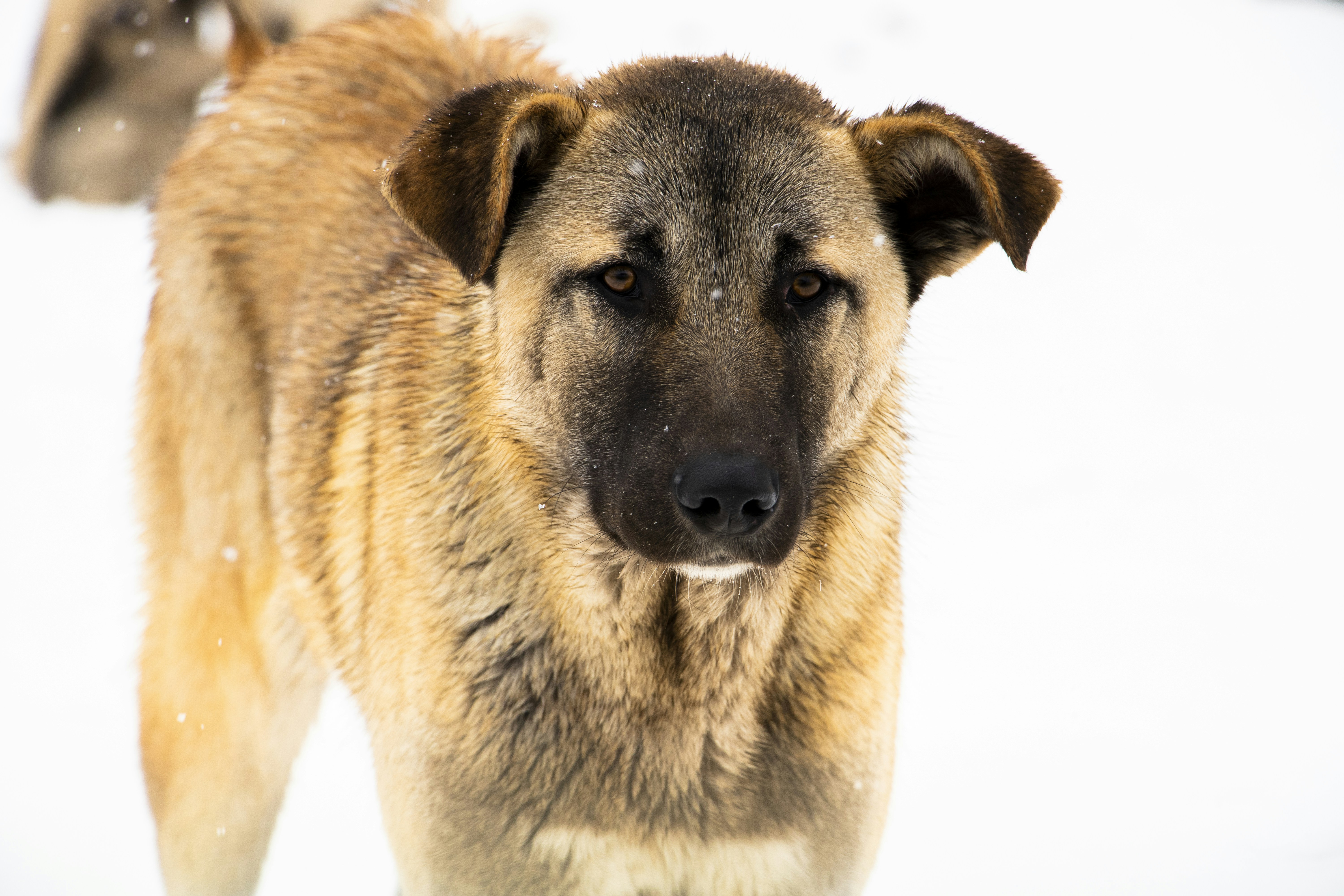 Photo by sedcreatives