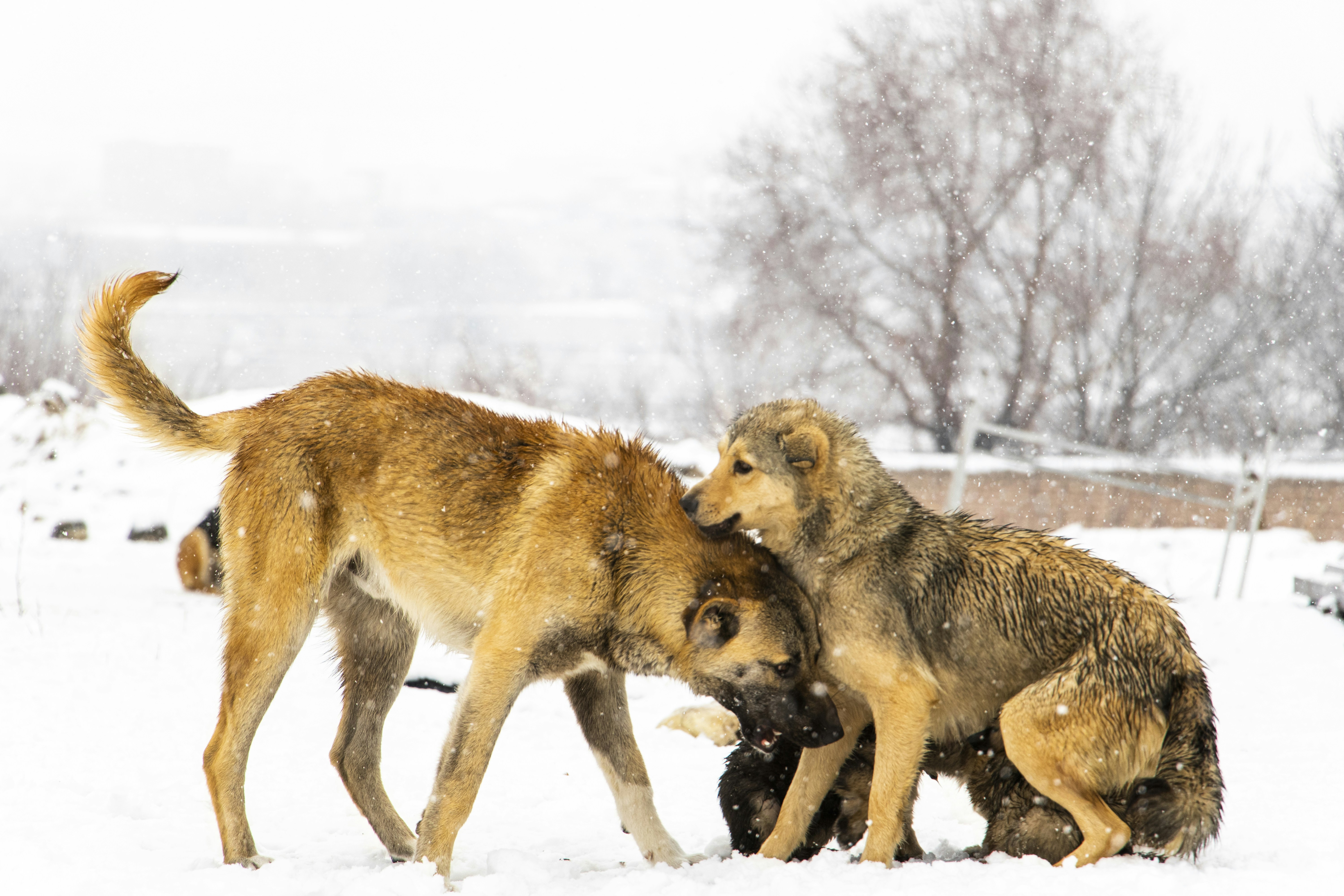 Photo by sedcreatives