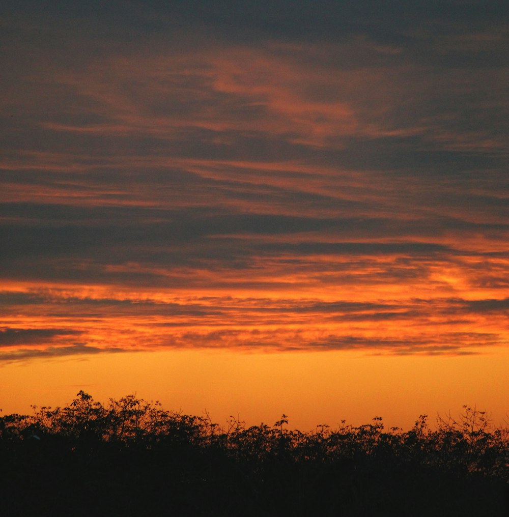 a sunset over trees