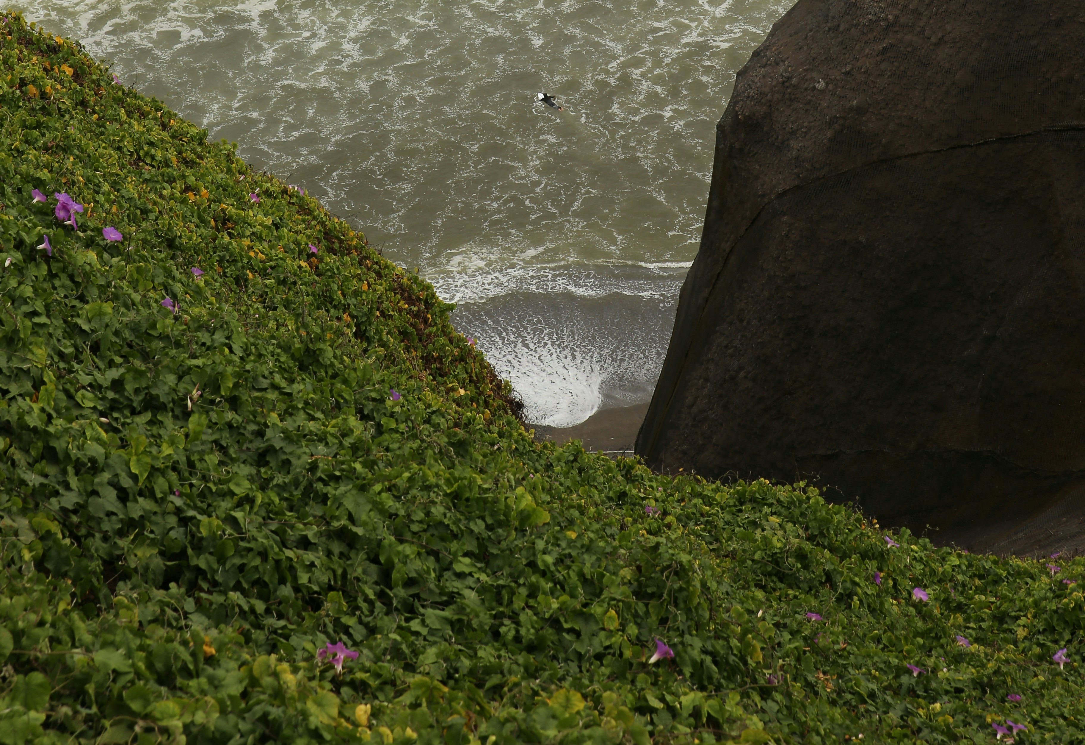 Ecotur