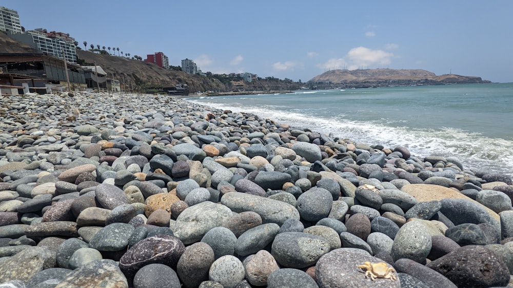 a rocky beach with buildings in the background