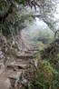 a rocky path in the woods
