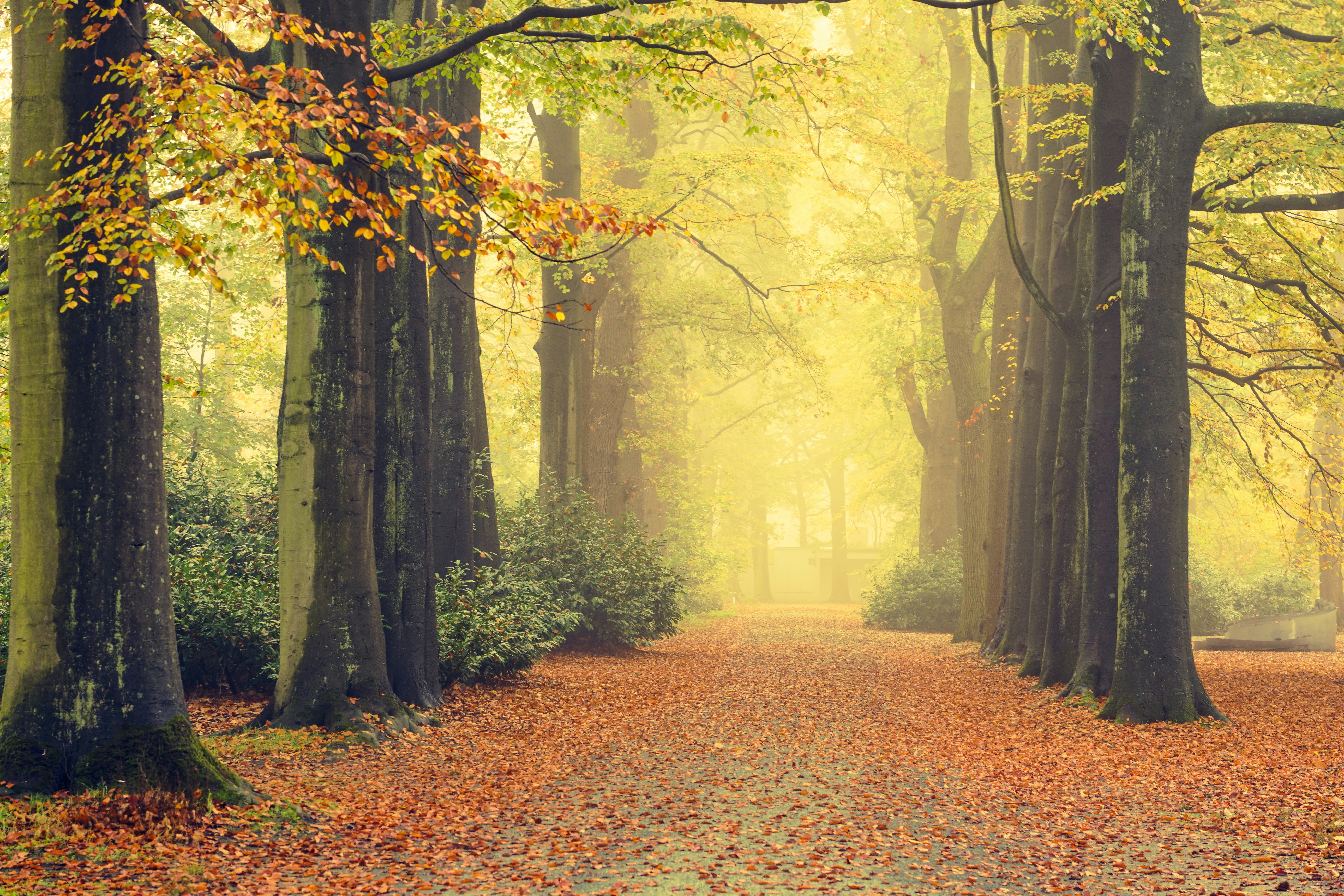 Photo by hooverpaul55