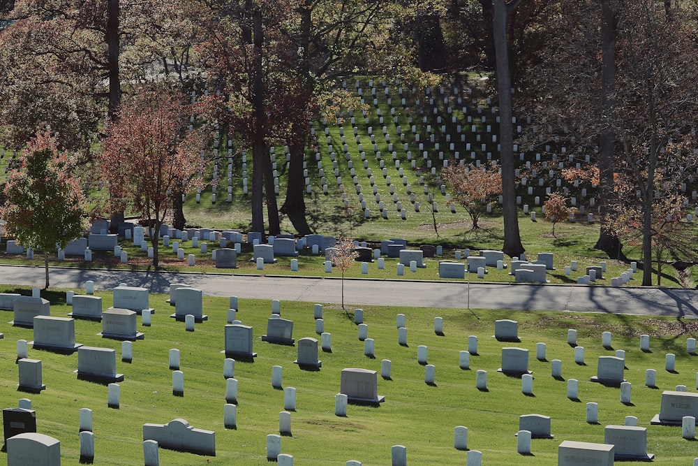 a cemetery with many gravestones