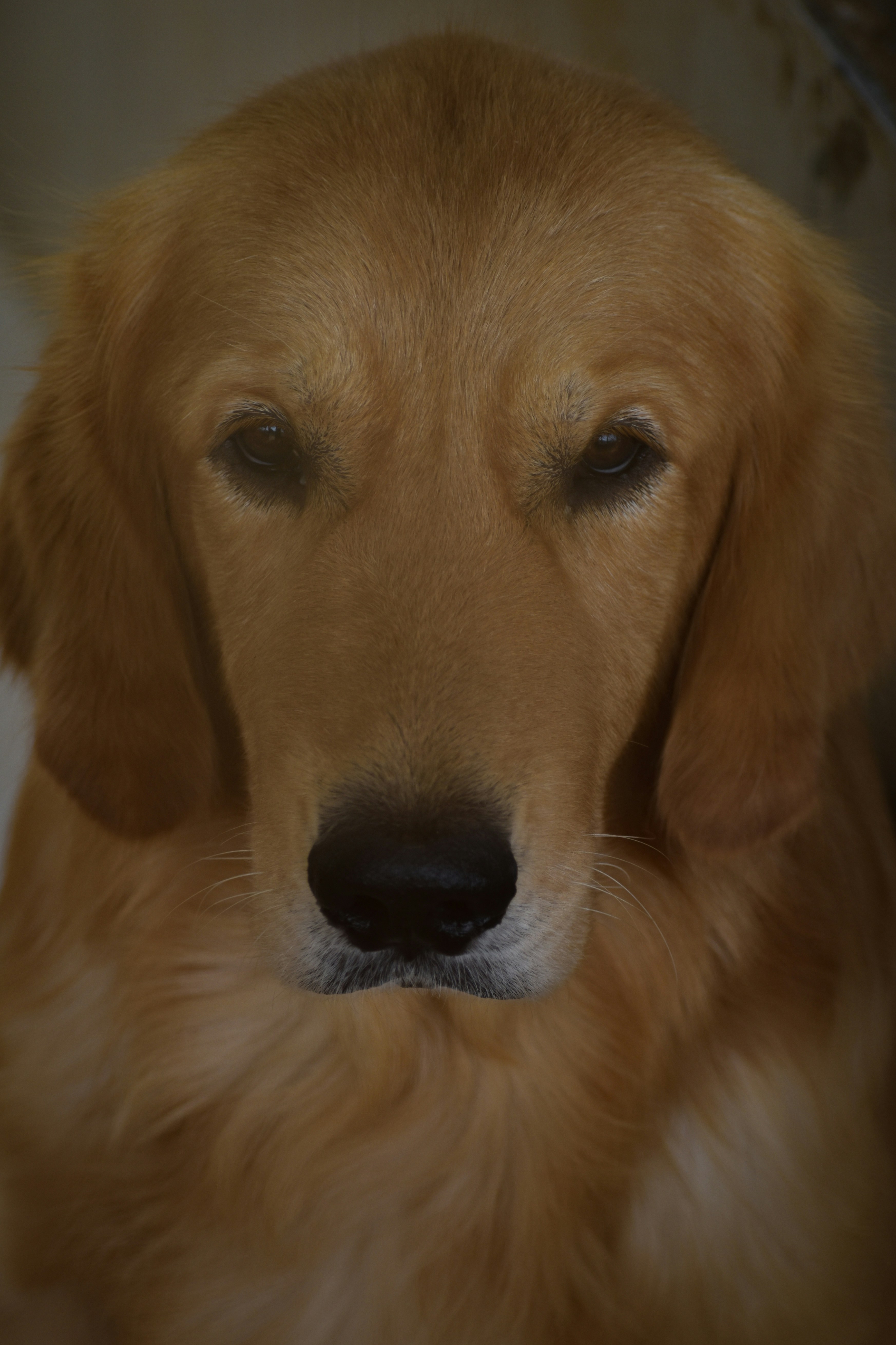 Photo by jebinephrimraj_