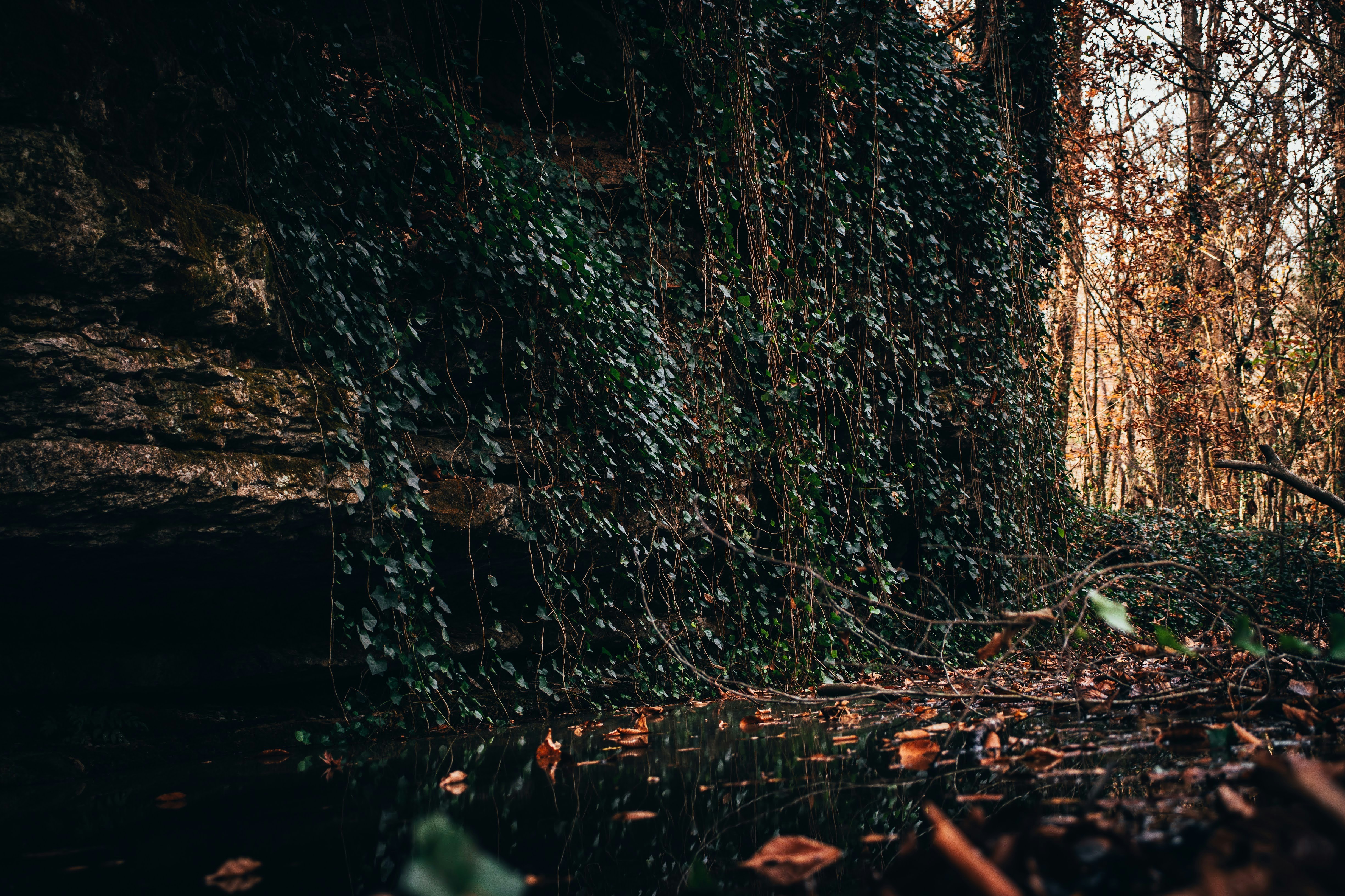 Photo by brice_cooper18