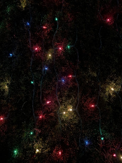 A series of multi-colored lights are entangled in green foliage. The small lights emit a variety of colors, including red, blue, yellow, and green, creating a festive appearance against the dark leafy background.
