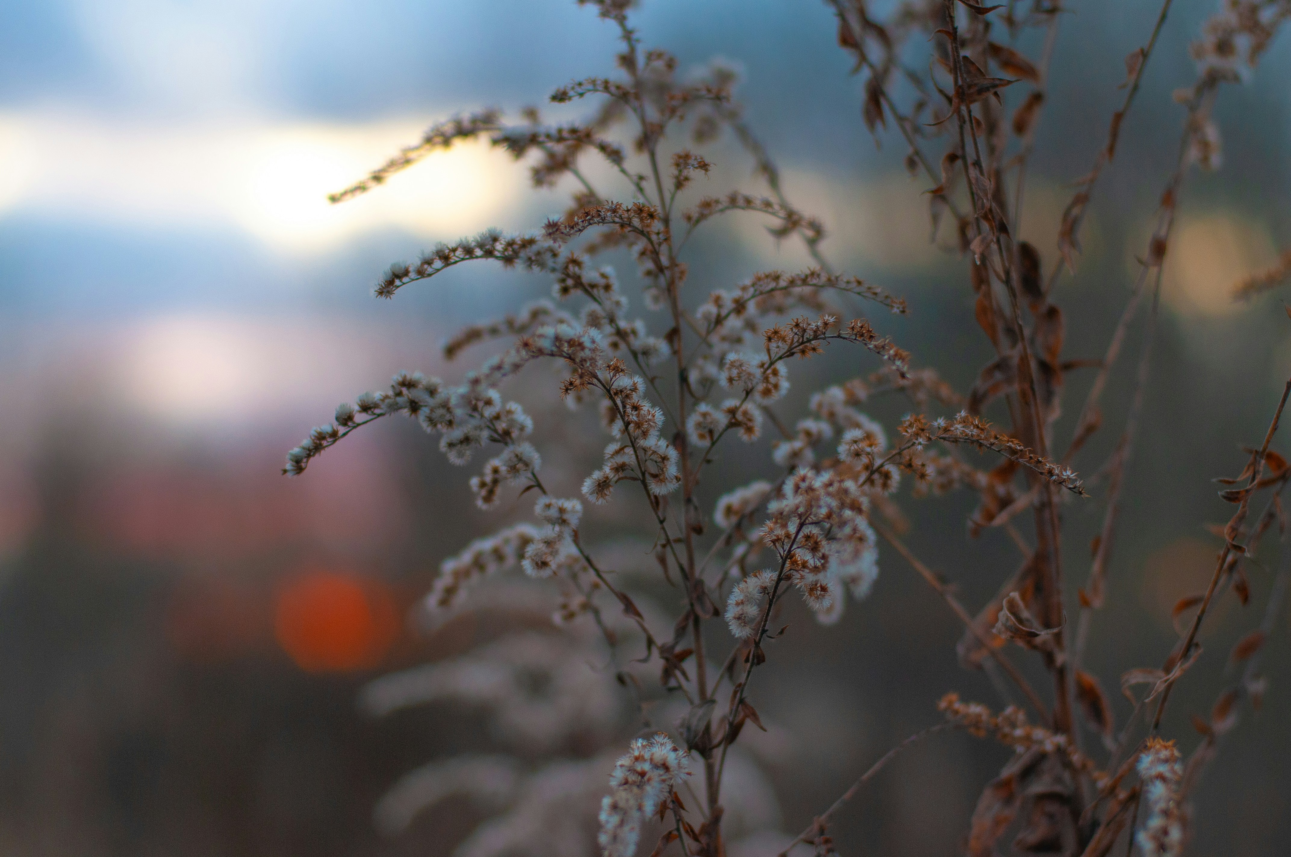 Photo by nataliaraylenegusakova